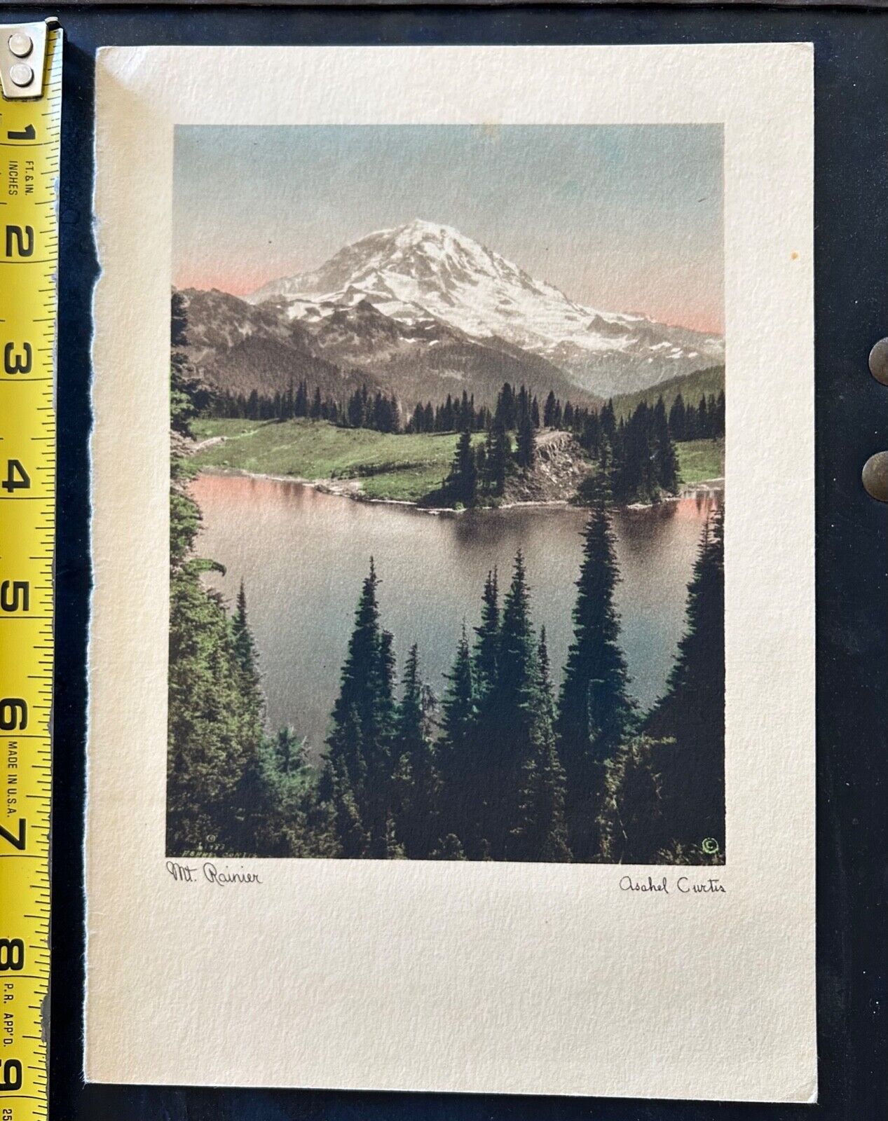 Asahel Curtis • Vintage  Print • Mt.Rainier • 5x8 in