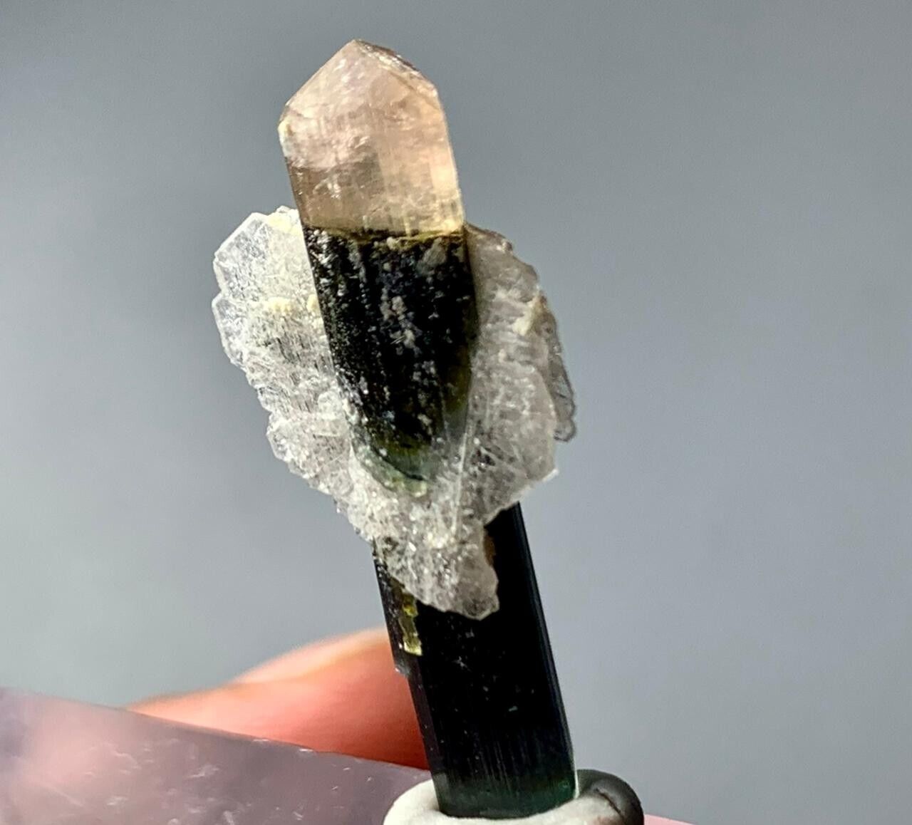 9.50 Carat beautiful terminated tricolor tourmaline crystal with albite @afgh