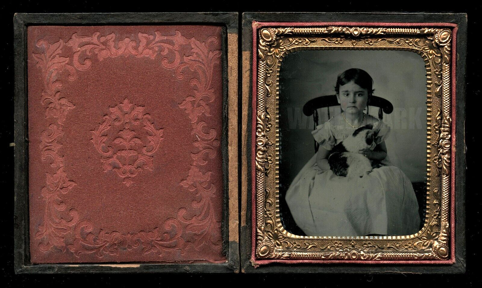 1/6 Ruby Ambrotype Sad Little Girl Holding Her Cat or Kitten - 1850s 1860s Photo
