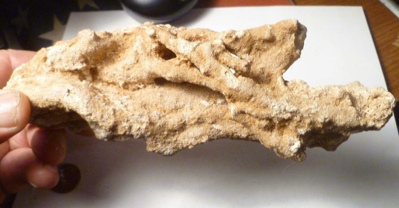 HUGE 180mm Natural Glass FULGURITE CREATED BY LIGHTNING Fossil Lightning
