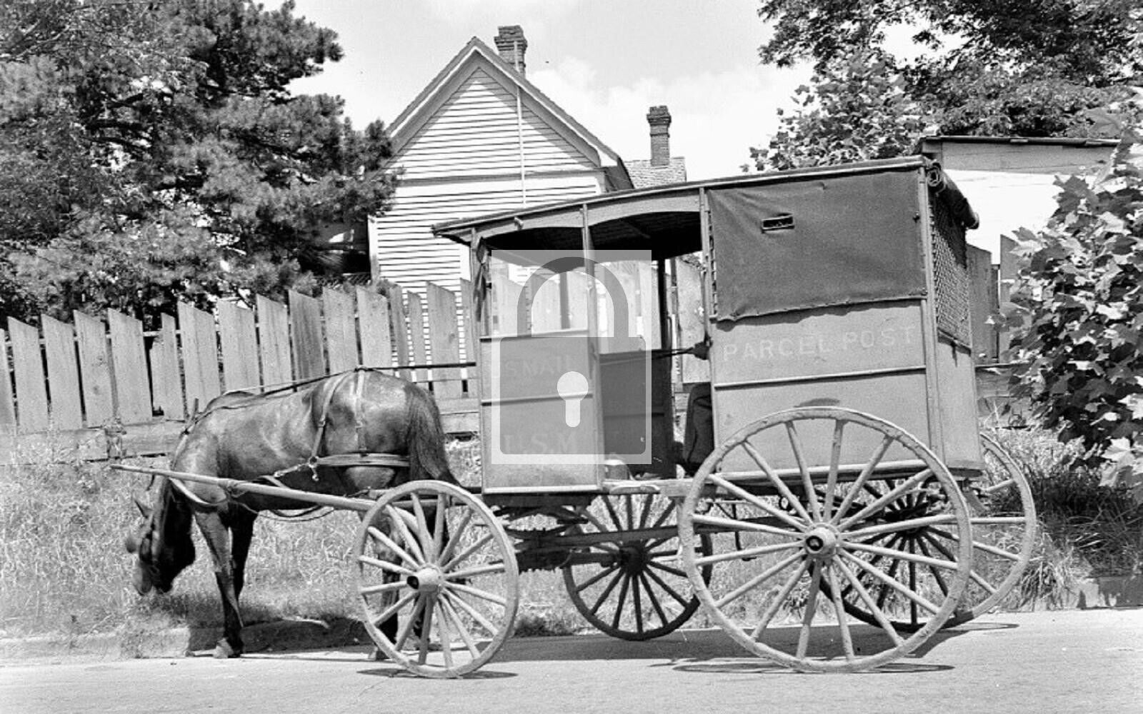 Horse Drawn US Mail Wagon Marshall Texas TX Reprint Postcard