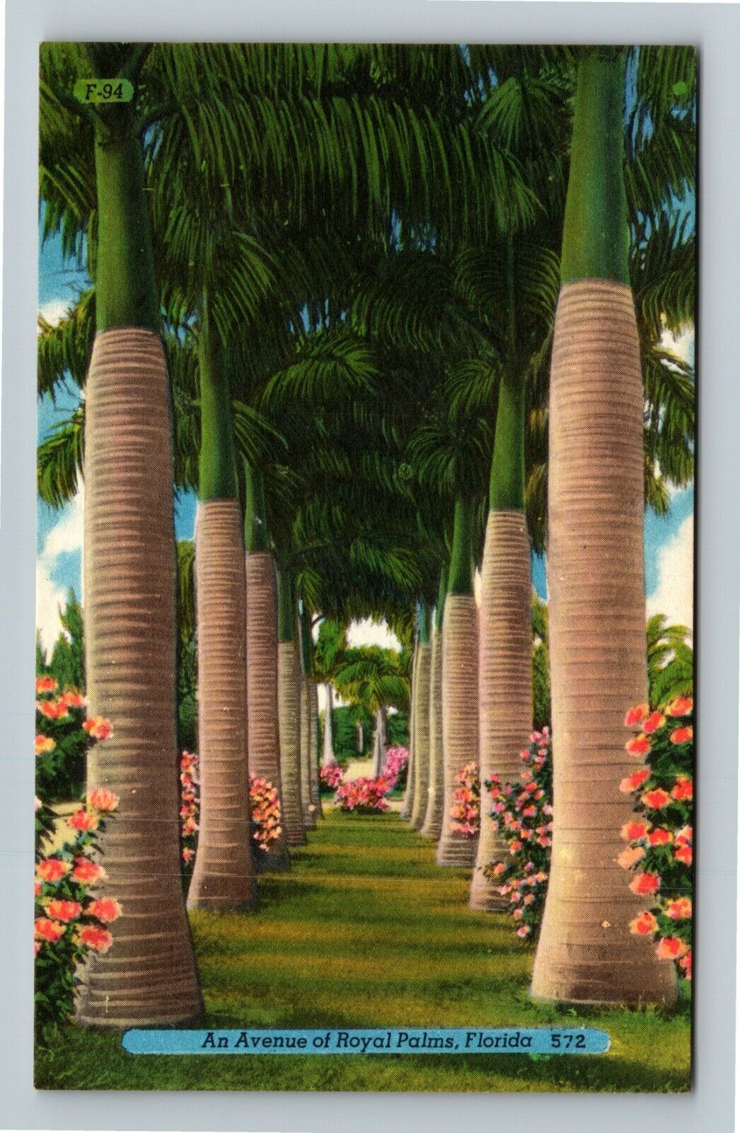 FL-Florida, An Avenue Of Royal Palms Vintage Souvenir Postcard