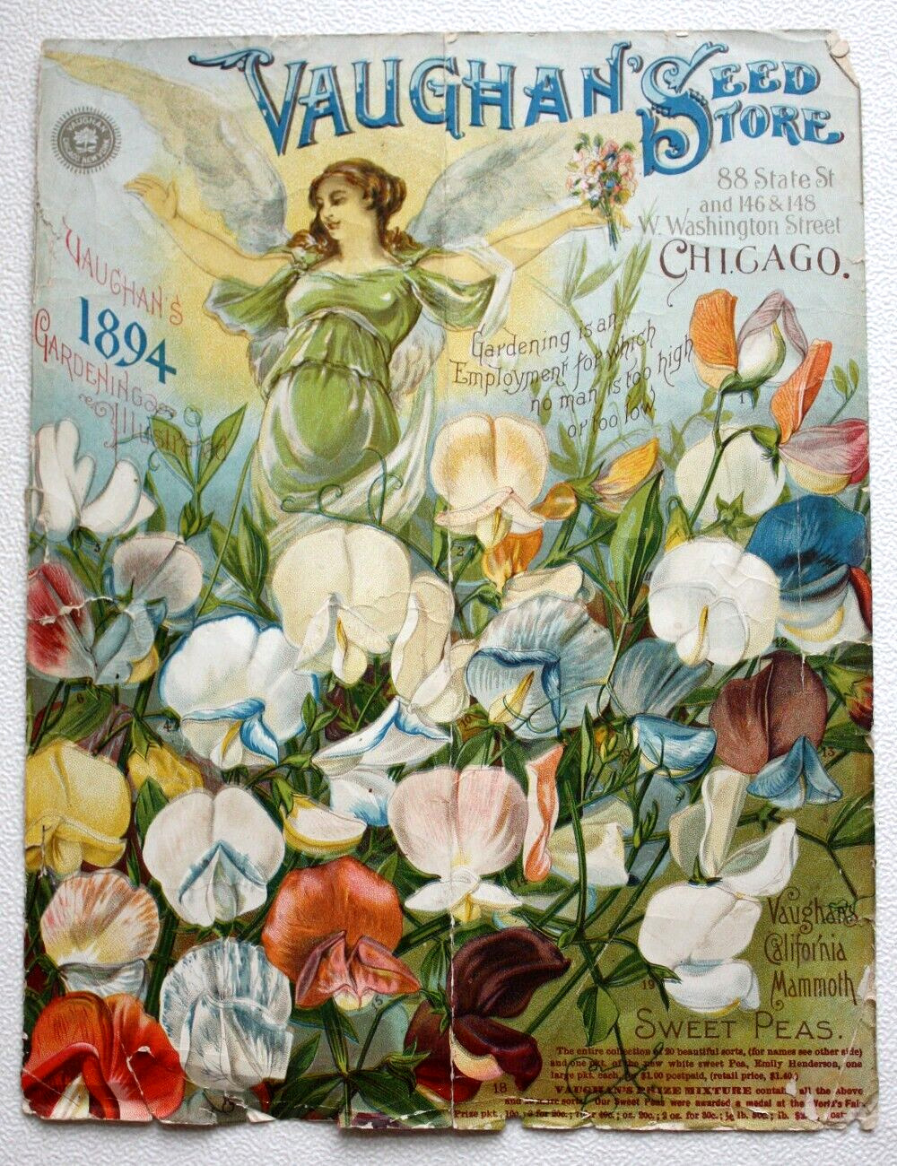 Rare Antique ORIGINAL 1894 VAUGHAN'S SEED STORE Gardening Flower Catalog Cover