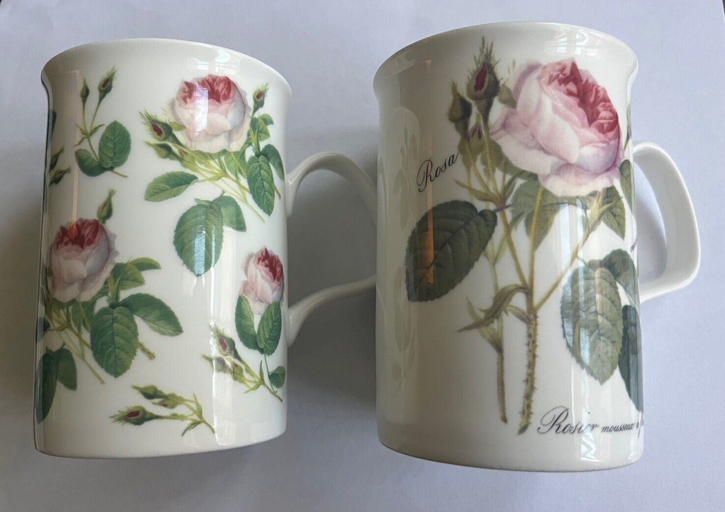Roy Kirkham England Redoute Roses Bone China Coffee Mugs 4” 10 oz Set Of 2