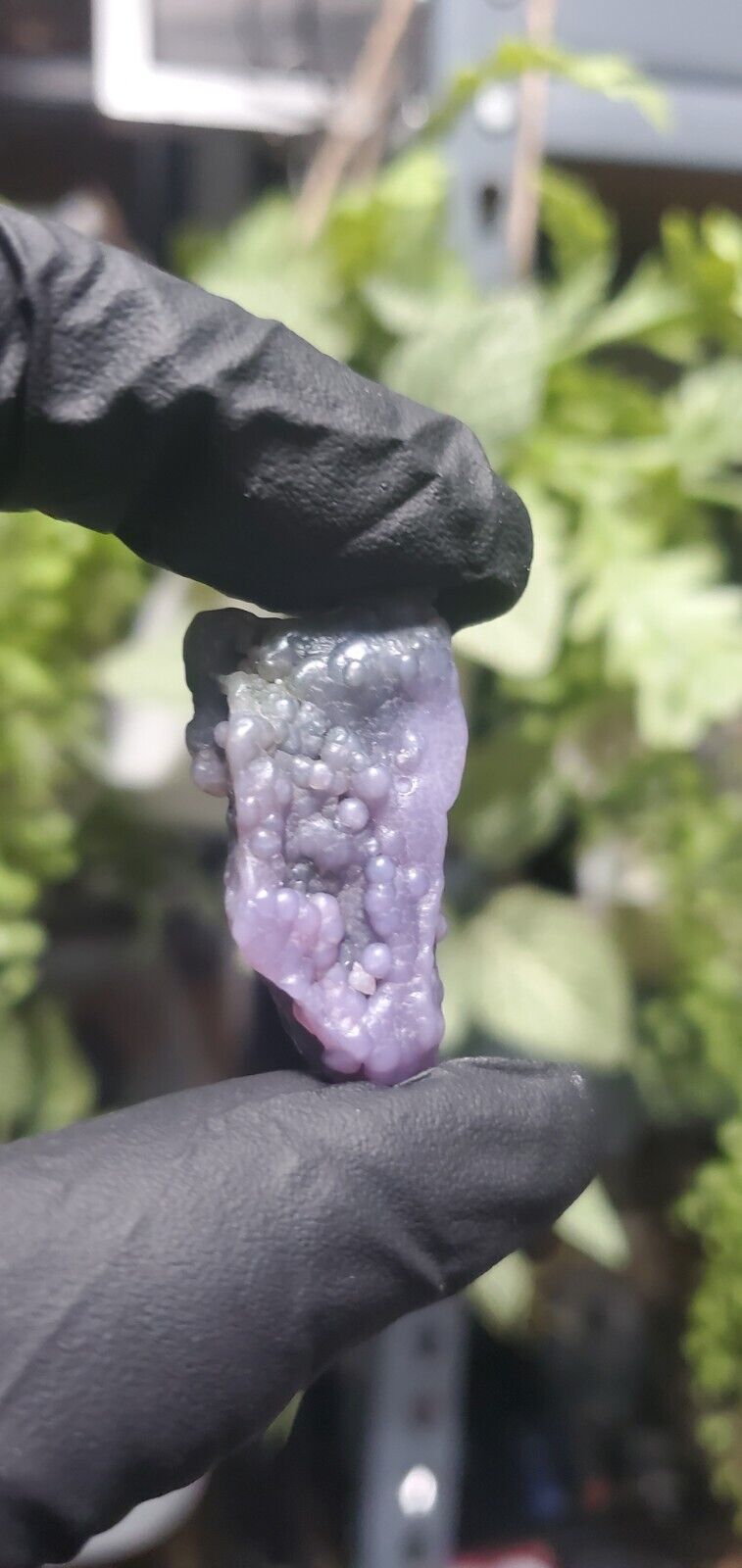 Purple 12g Botryoidal Chalcedony Grape Agate Crystal Cluster Ag12
