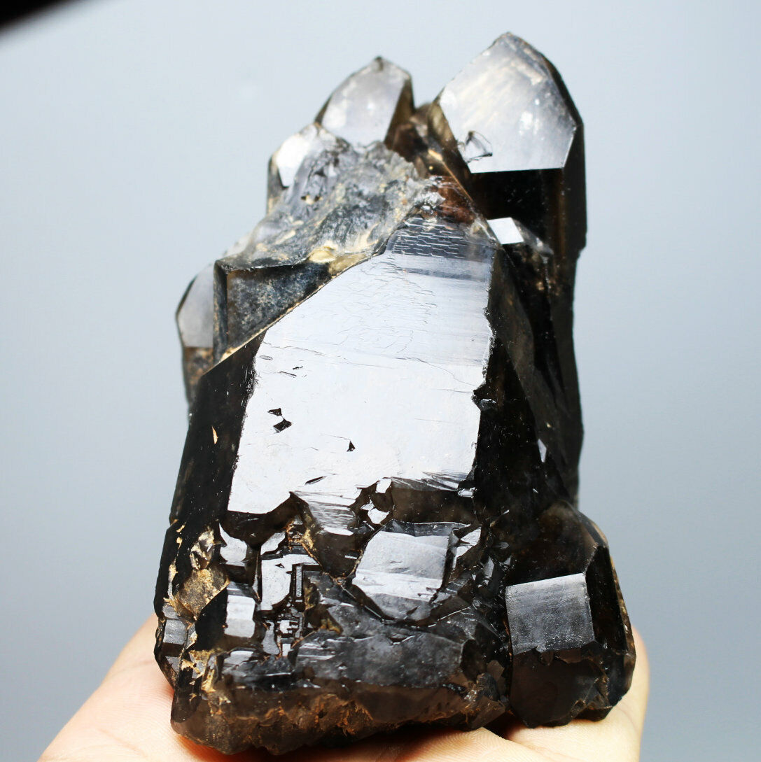 485g Natural Rare Beautiful Black QUARTZ Crystal Cluster Mineral Specimen