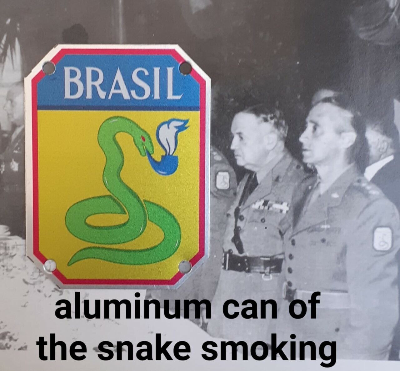 WW2 BRAZIL ITALY PLATE PATCH ALUMINUM F.E.B. SNAKE SMOKING US 5TH ARMY FEB COBRA