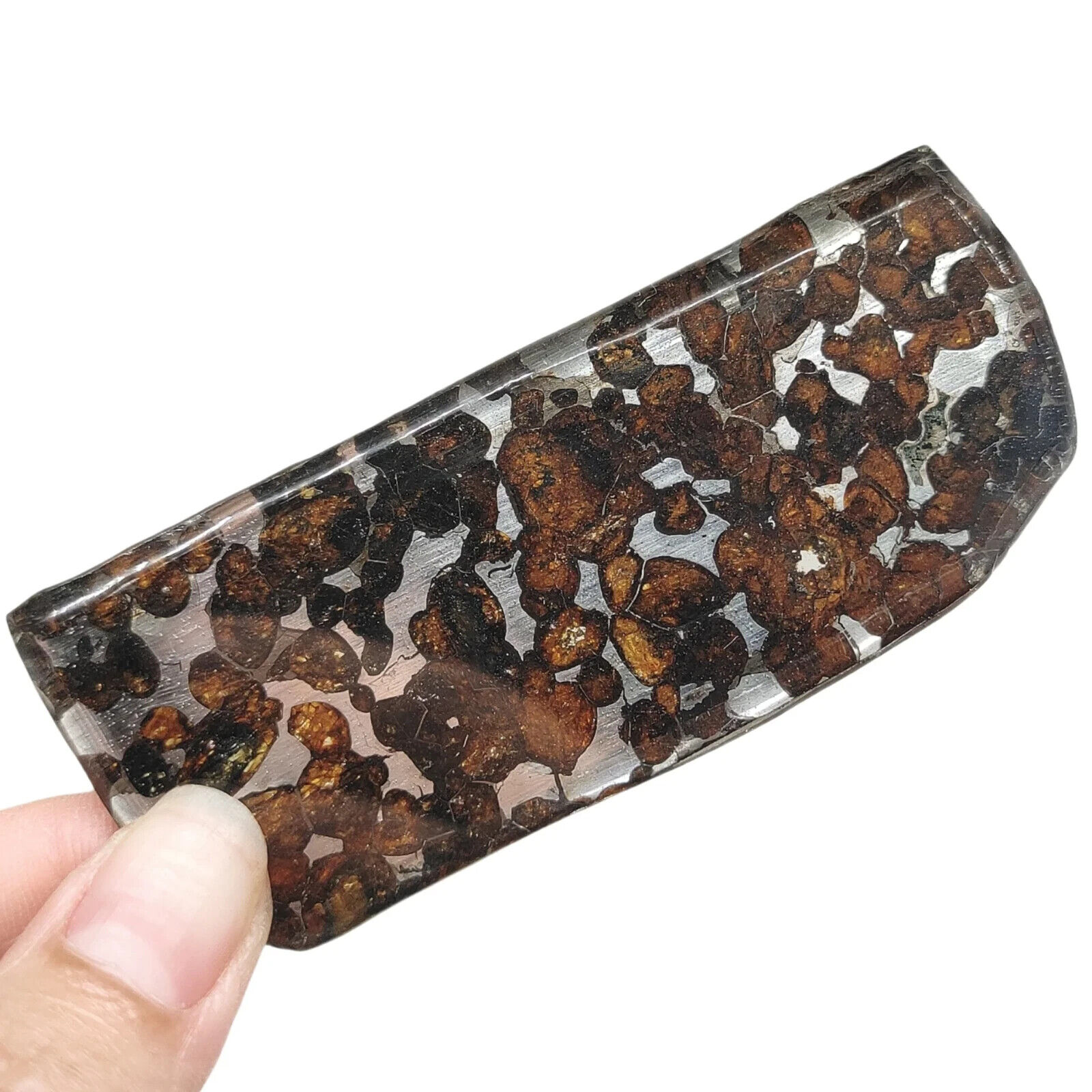 36.4G SERICHO Pallasite olive meteorite slices - from Kenya TA470