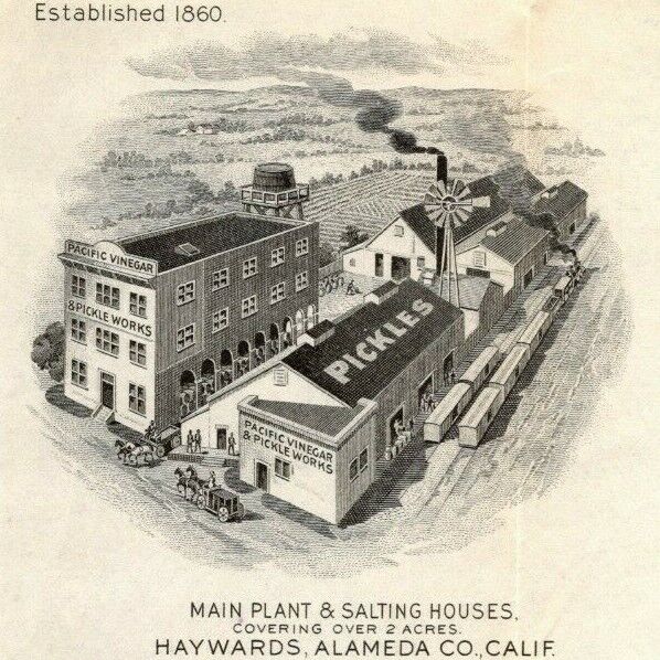 1904 Pacific Vinegar & Pickle Works Virginia City, NV San Francisco Letterhead 