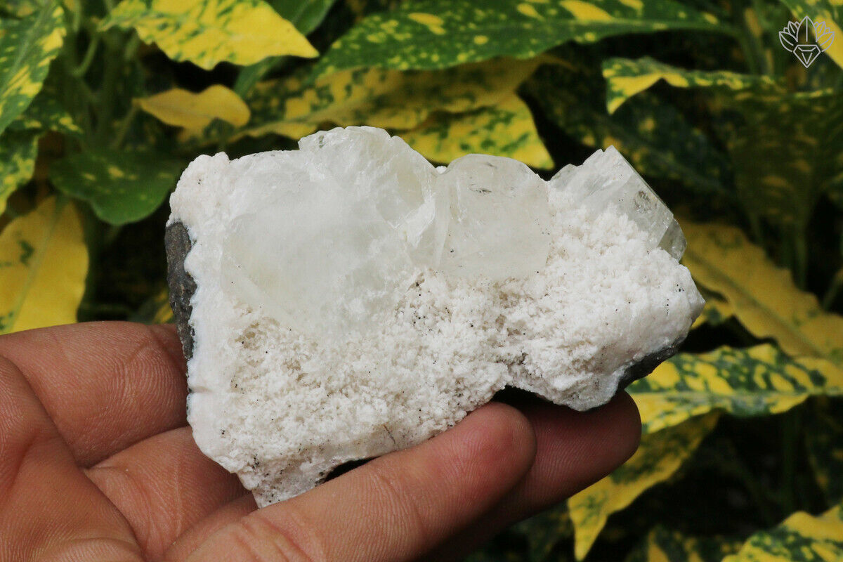 Natural White Apophyllite Minerals 161 gm Meditation Rough Specimen