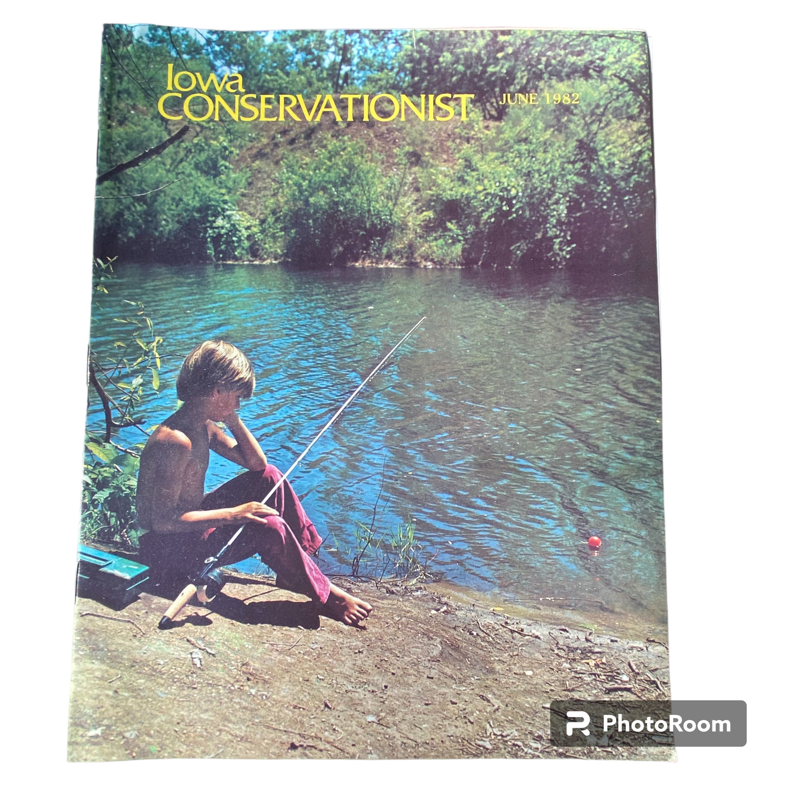 Iowa Conservationist June 1982 Panfish Primer Wildflower of Month Volga River