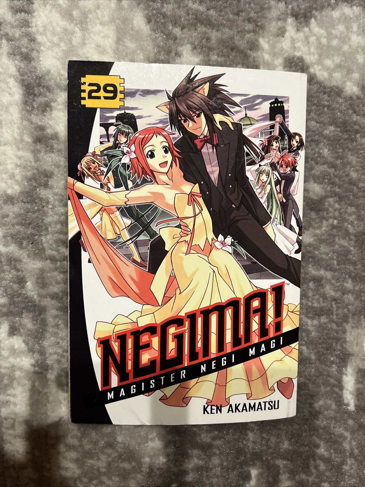 Negima Magister Negi Magi Vol. 29 - 2011 Manga Kodansha First Printing English