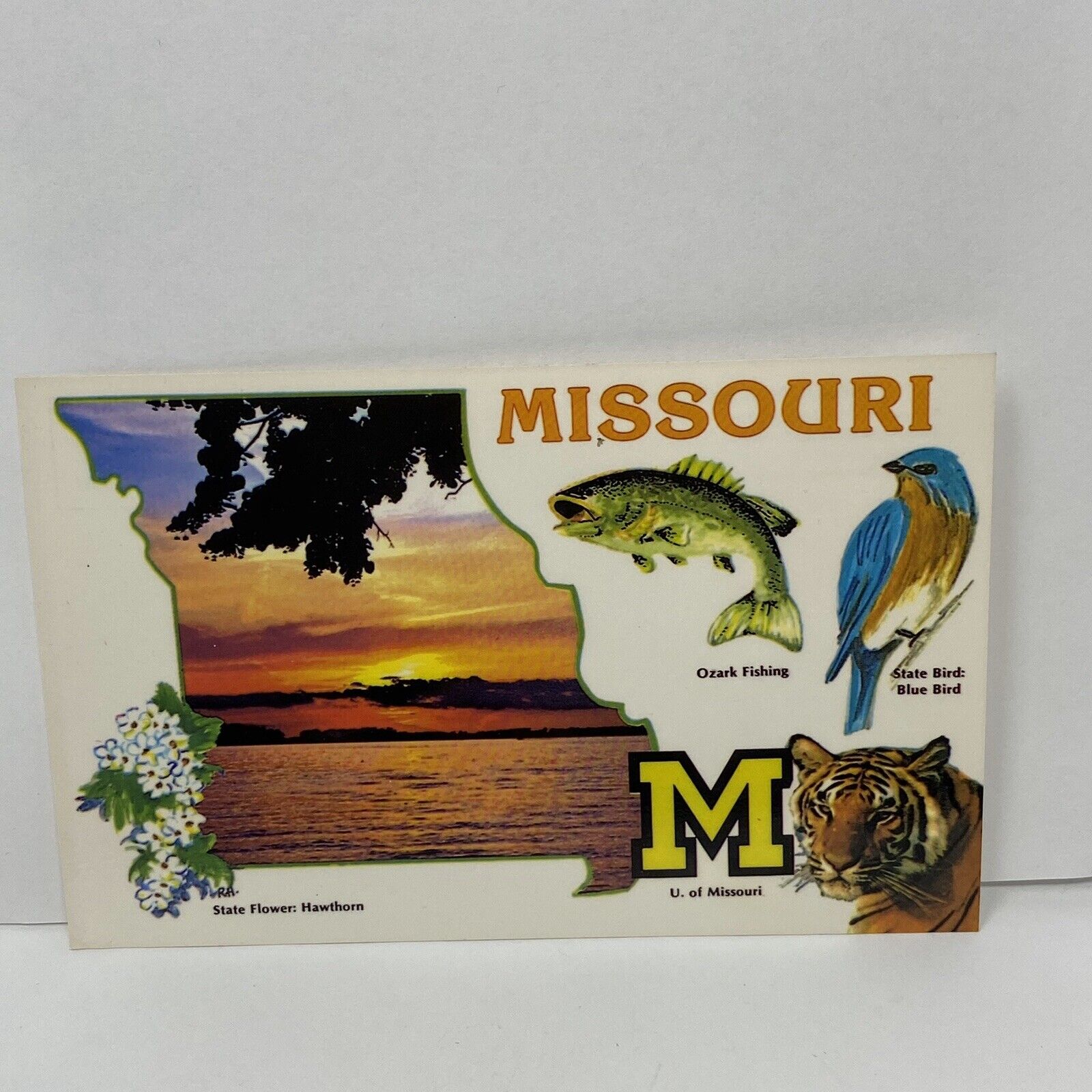 Vintage Postcard Missouri The Cave State