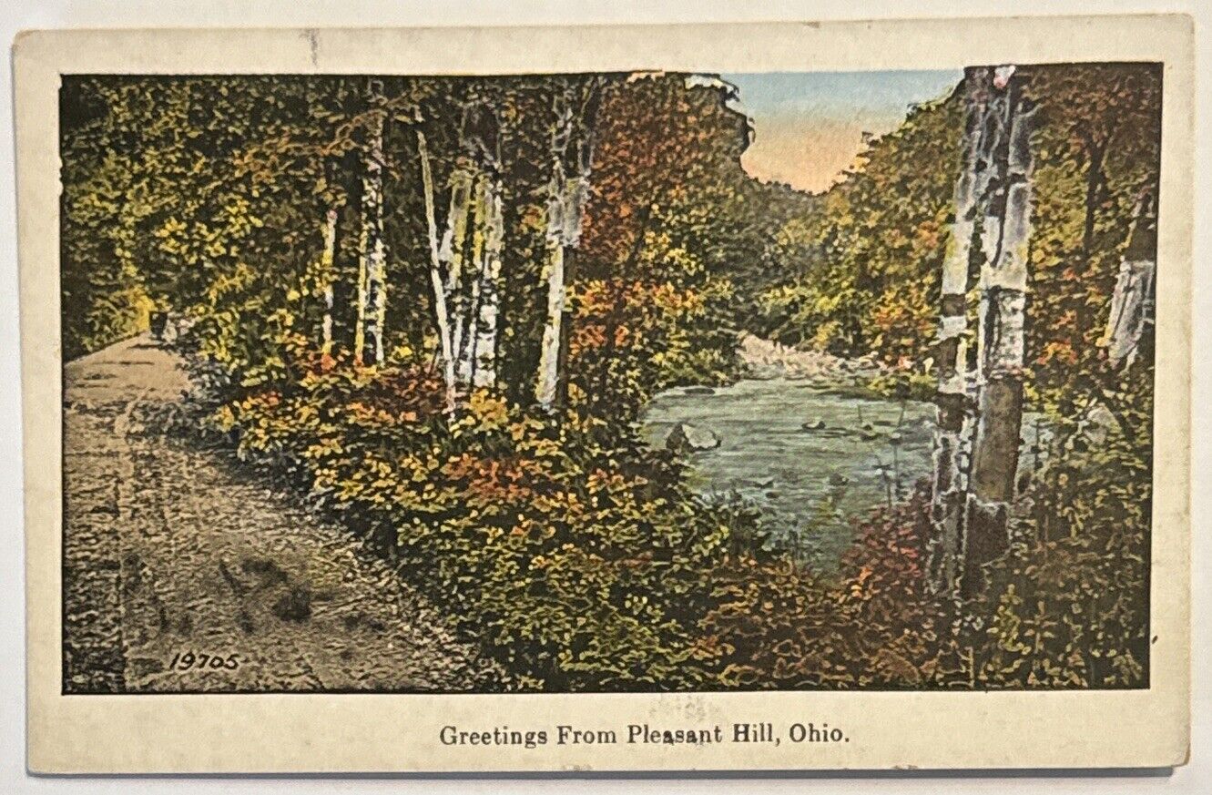 Greetings from Pleasant Hill Ohio OH Vintage Postcard