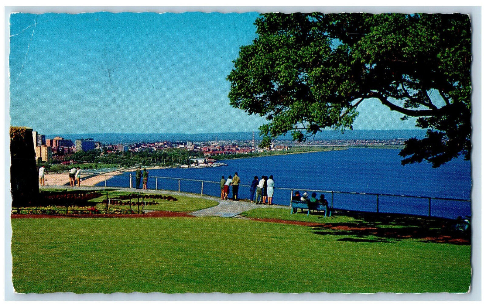 King\'s Park Perth Australia Postcard Glimpse of City and Perth Waters c1960\'s