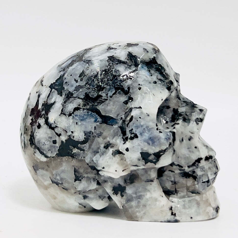 Rainbow Moonstone with Black Tourmaline Skull Healing Crystal Carving 1015g