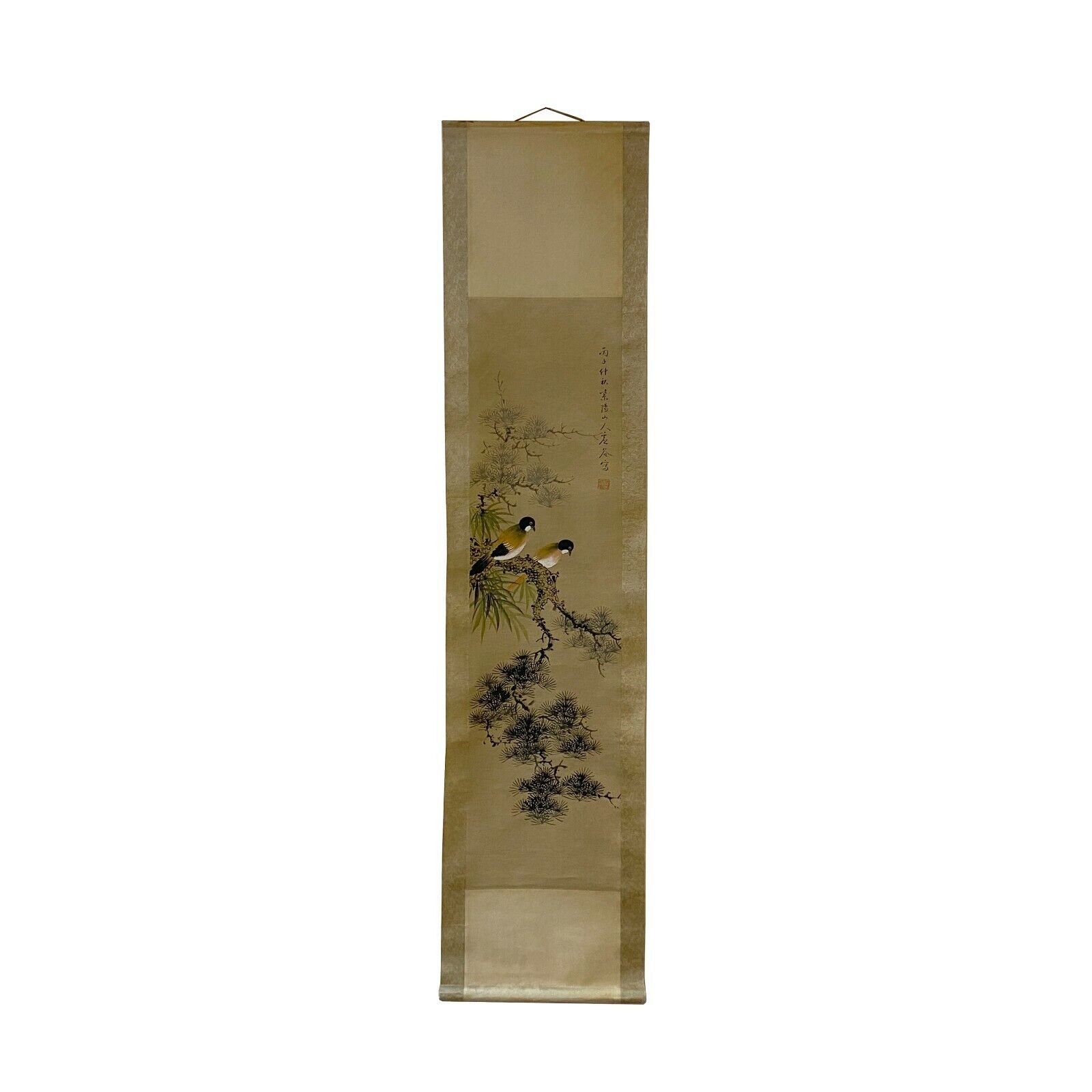 Chinese Color Ink Birds Pine Tree on Tree Scroll Painting Wall Art ws2014