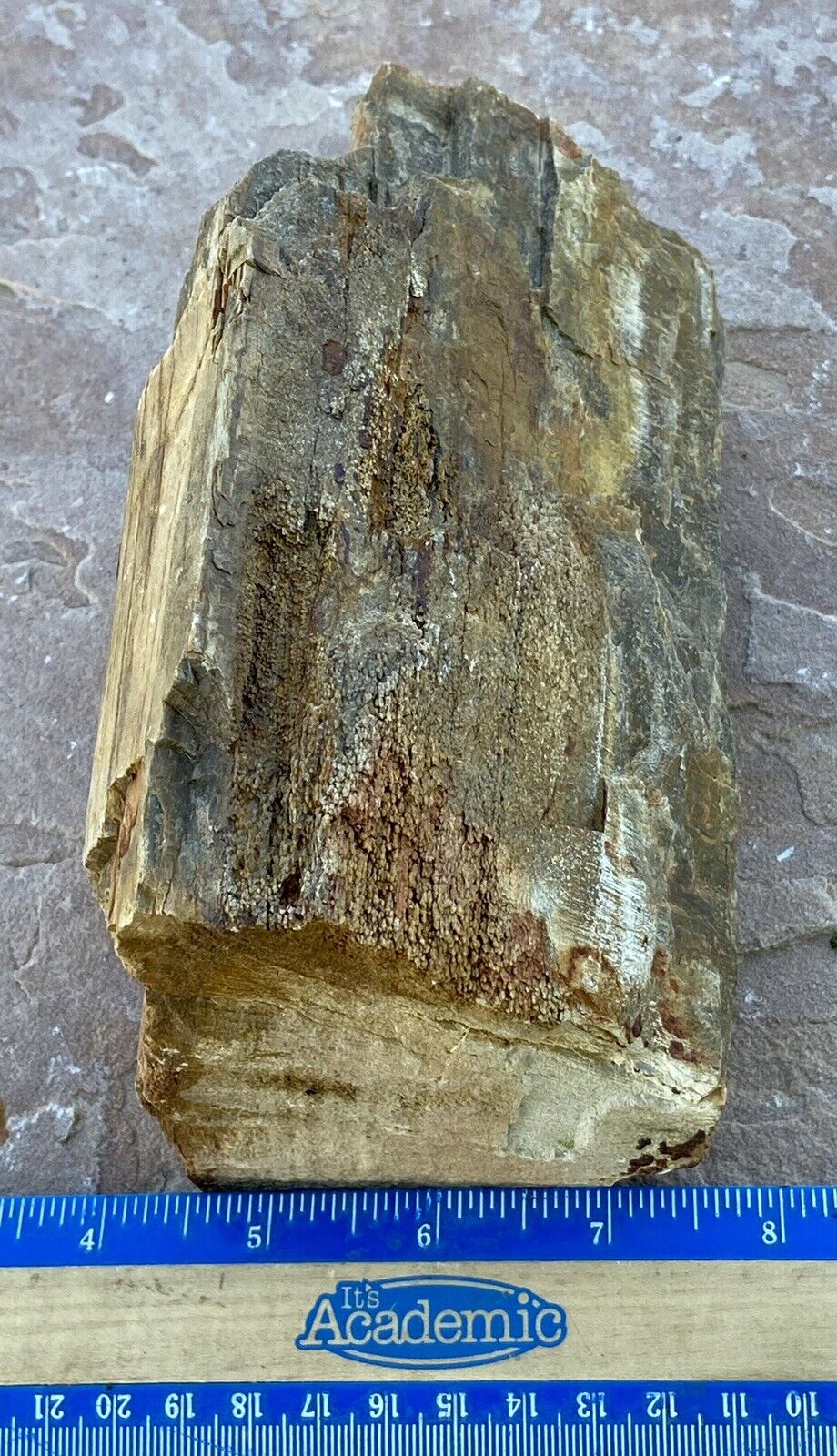 4.2 Lb Petrified Fossil Wood-Natural Wedge Shaped-Tons Of Druzy W/Great Color