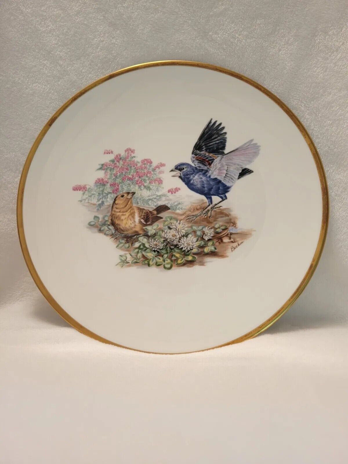 Boehm Collector Plate Woodland Birds of America Blue Grosbeak England Bone China