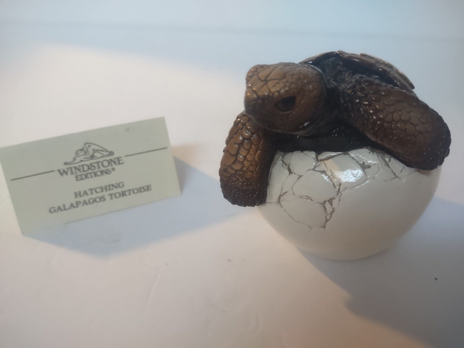 Windstone Editions Hatching Galapagos Turtle By Melody Pena 1987