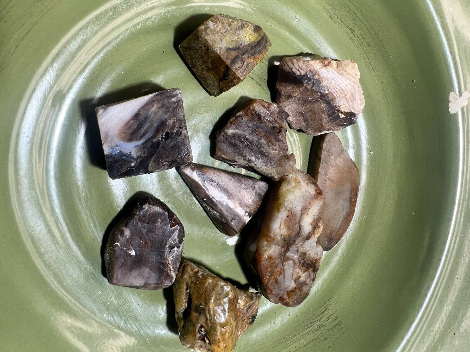 assorted rocks agatized opalized petrified wood chalcedony agates rocks 1lb 4oz