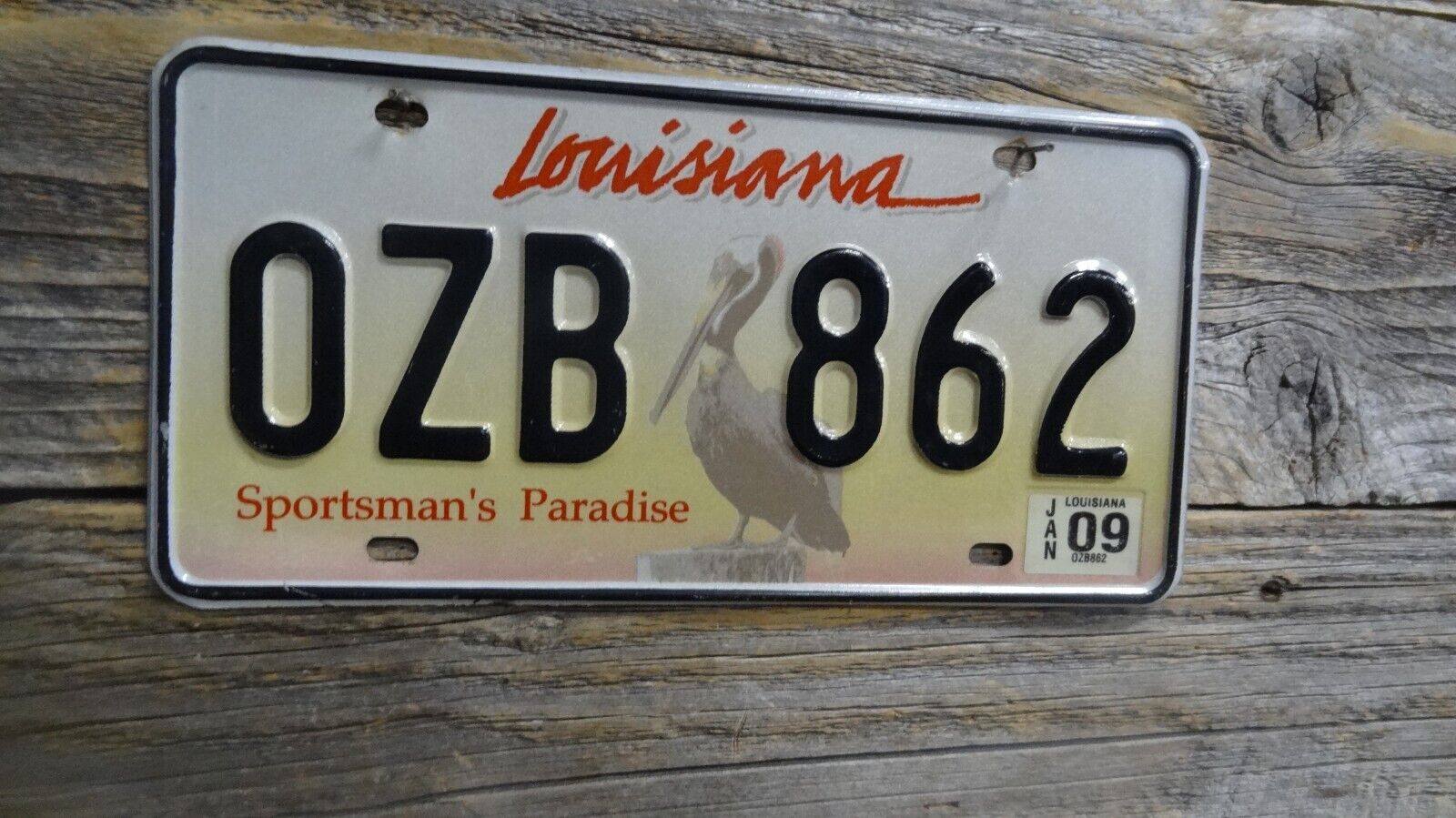 Louisiana Sportsman Paradise 2009 Pelican License Plate in Great Condition
