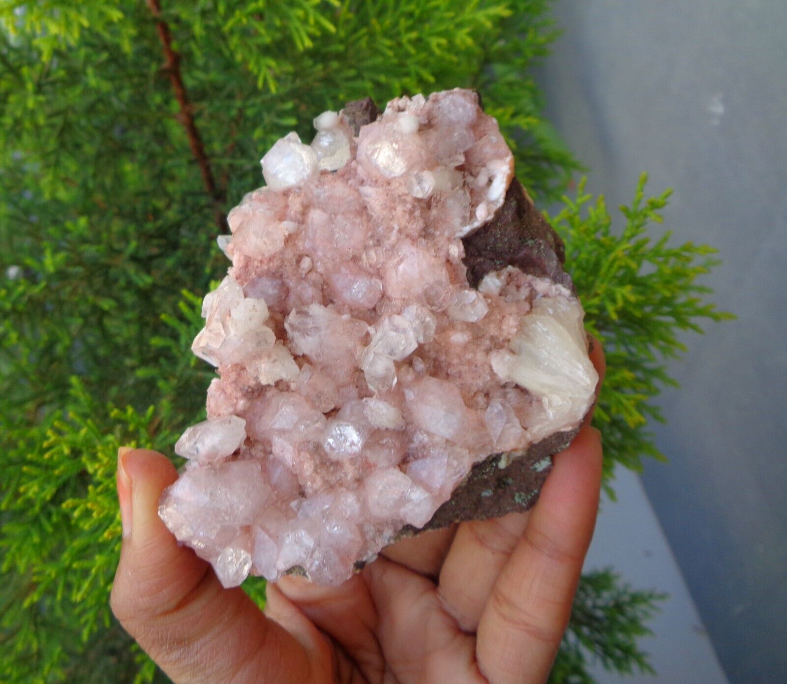 Apophyllite Crystal On Light Pink Heulandite On Matrix Minerals Specimen#H9