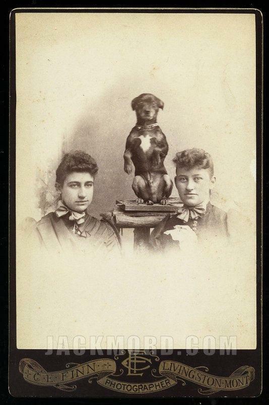 Funny Antique Photo Sisters & Cute Trick Dog - \