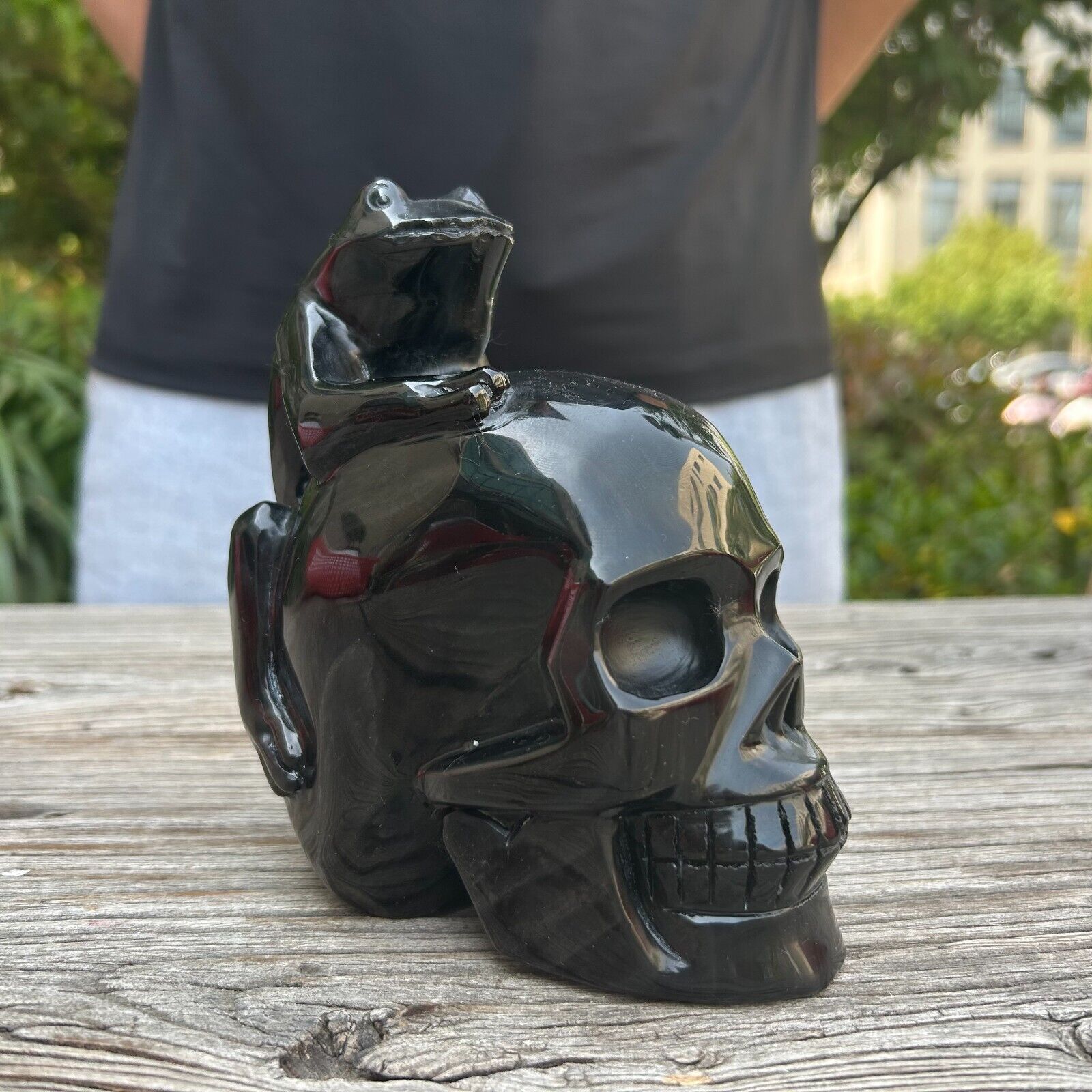 3.8LB 5.5\'\'Natural Silver Obsidian Frog Skull Crystal Carving Reiki Healing