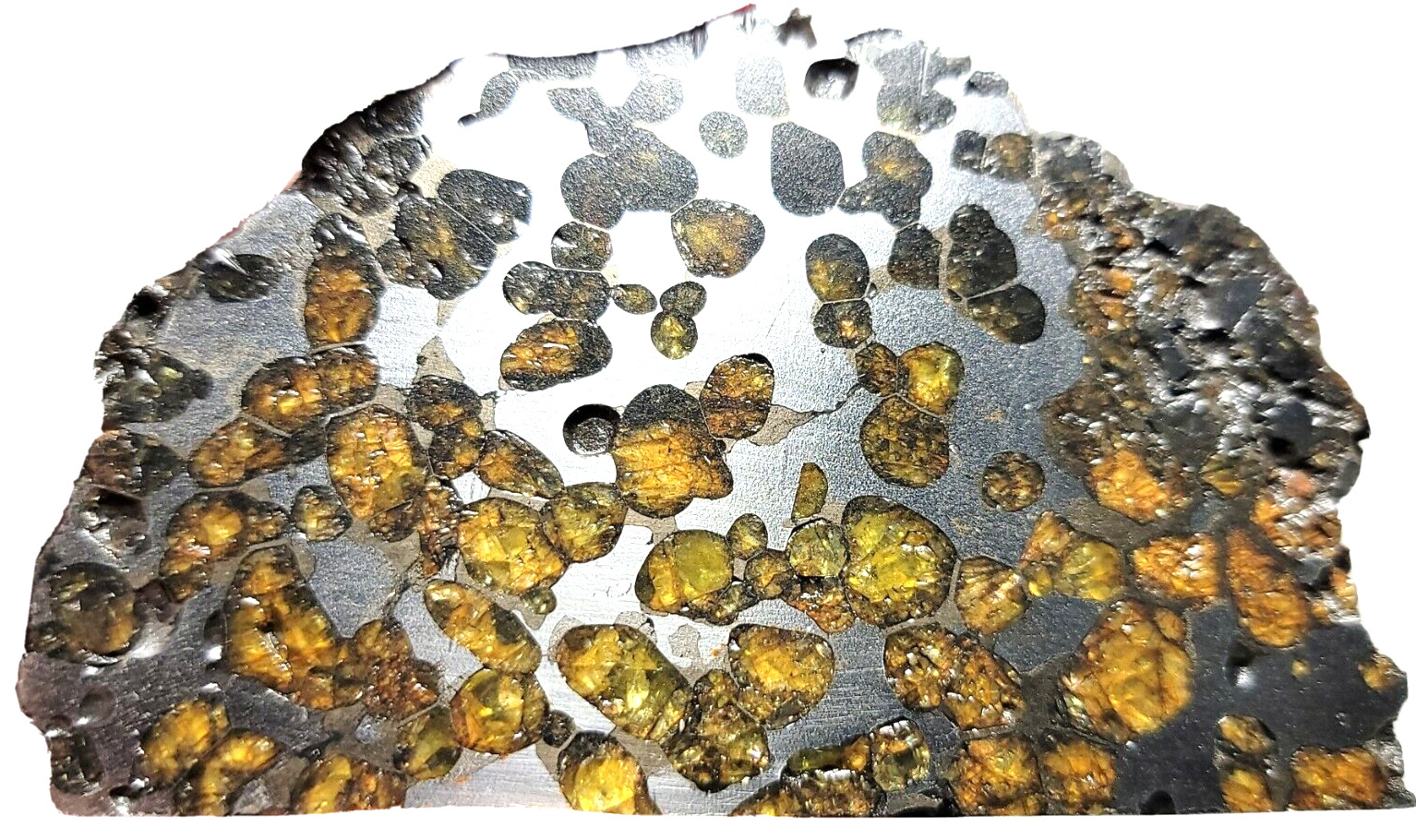 Brenham 118.75g *THICK* Partial Slice, Etched (1) Side, Sealed, Pallasite PMG-an