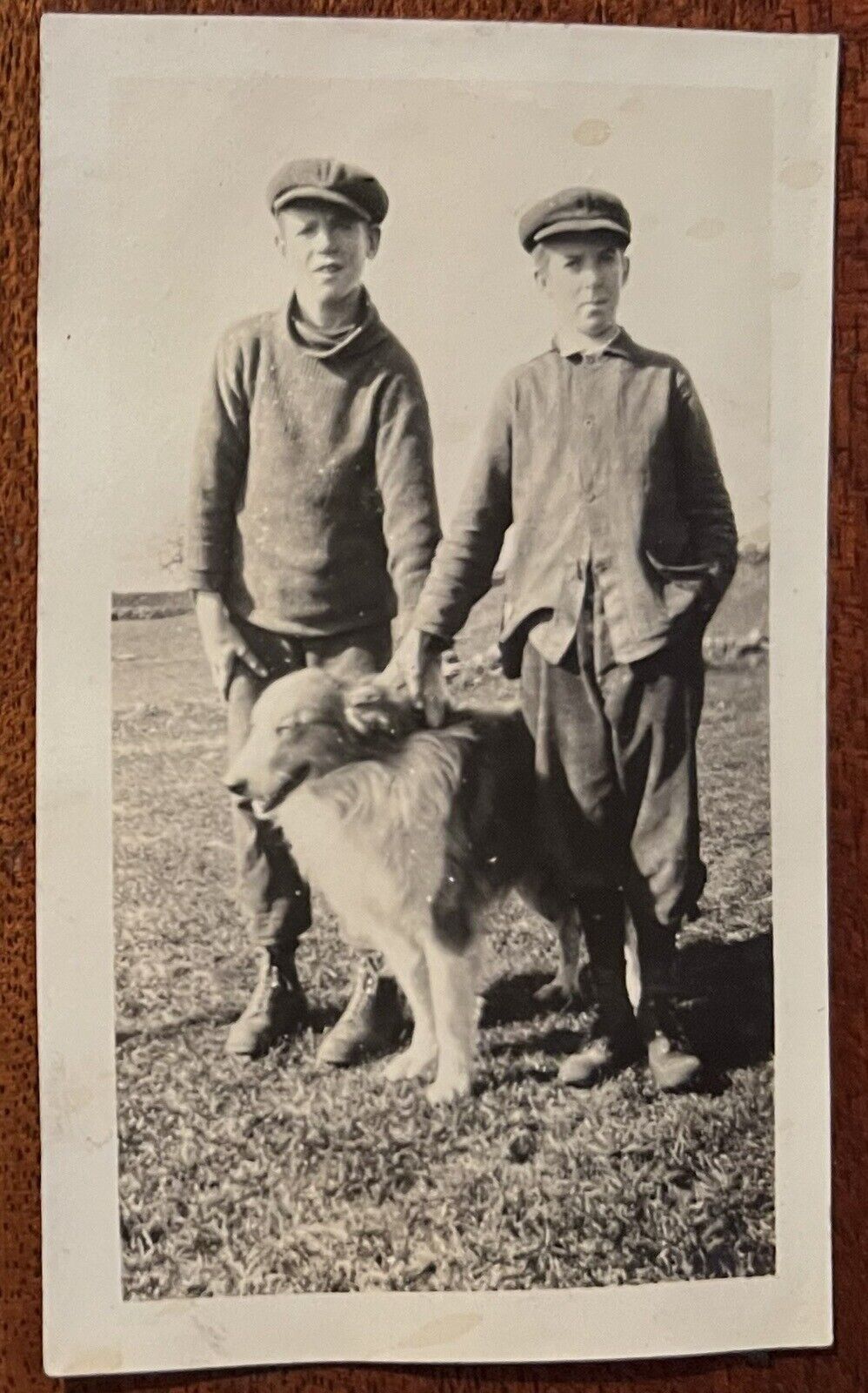 ATQ 1910s Photo Collie Two Boys Brothers Knickers Newsboy Hats Caps Rural