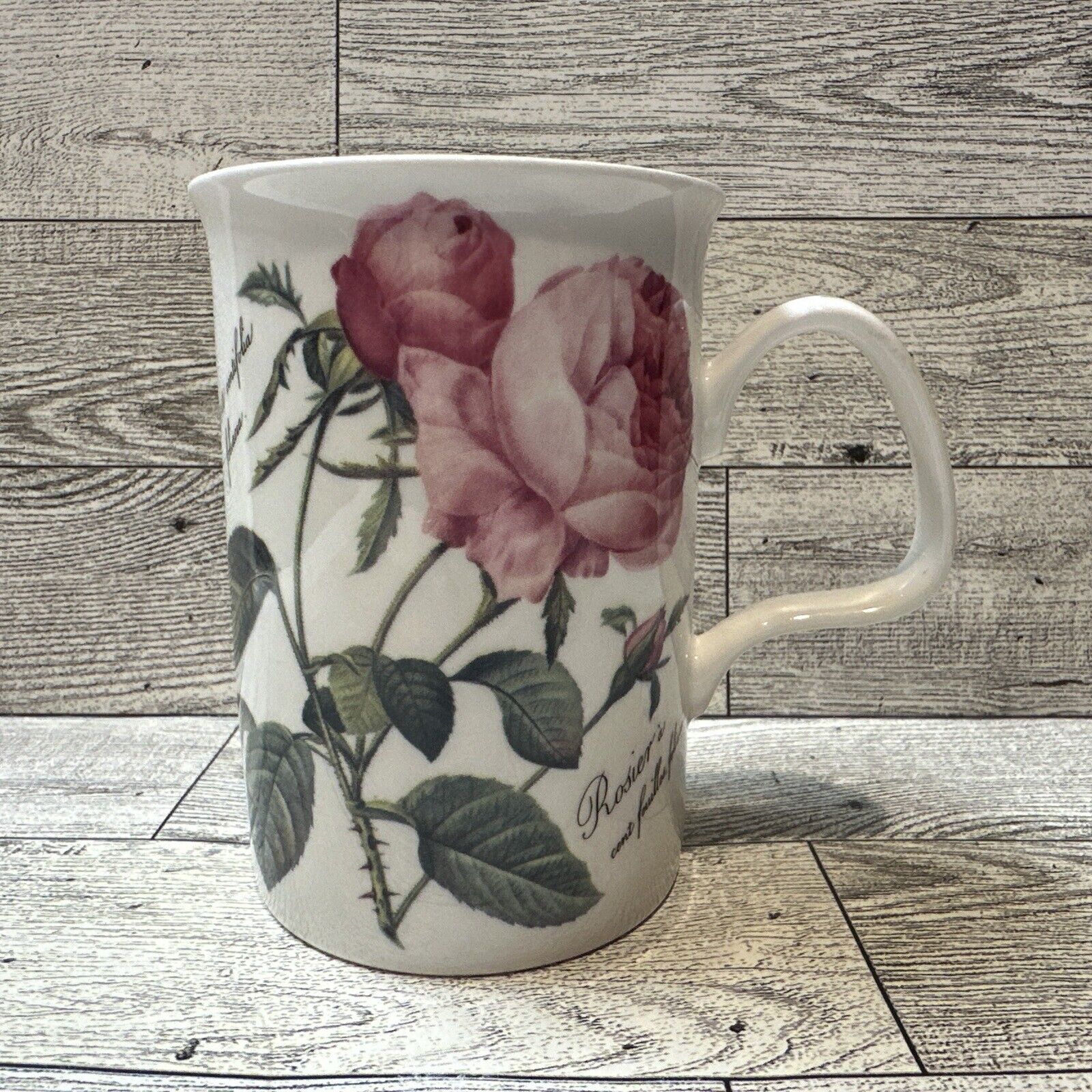 ROY KIRKHAM Redoute Roses 10oz Coffee Mug Bone China 4x3” England Vintage 1996