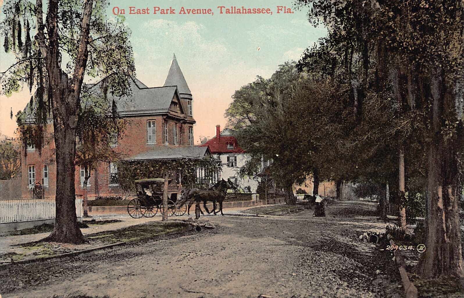 FL - 1900’s RARE East Park Avenue at Tallahassee, FLA - LEON COUNTY