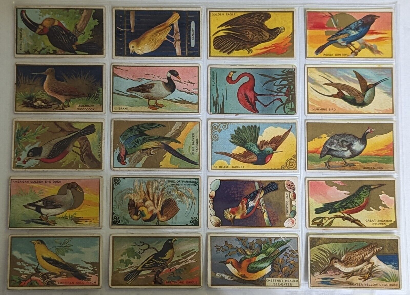 1910 T42 American Tobacco Bird Series Complete 100 Card Set 1-100