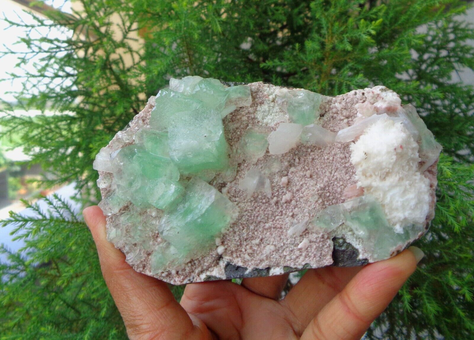 Green Apophyllite Crystal w/ Mordonite On Matrix Minerals Specimen #F6