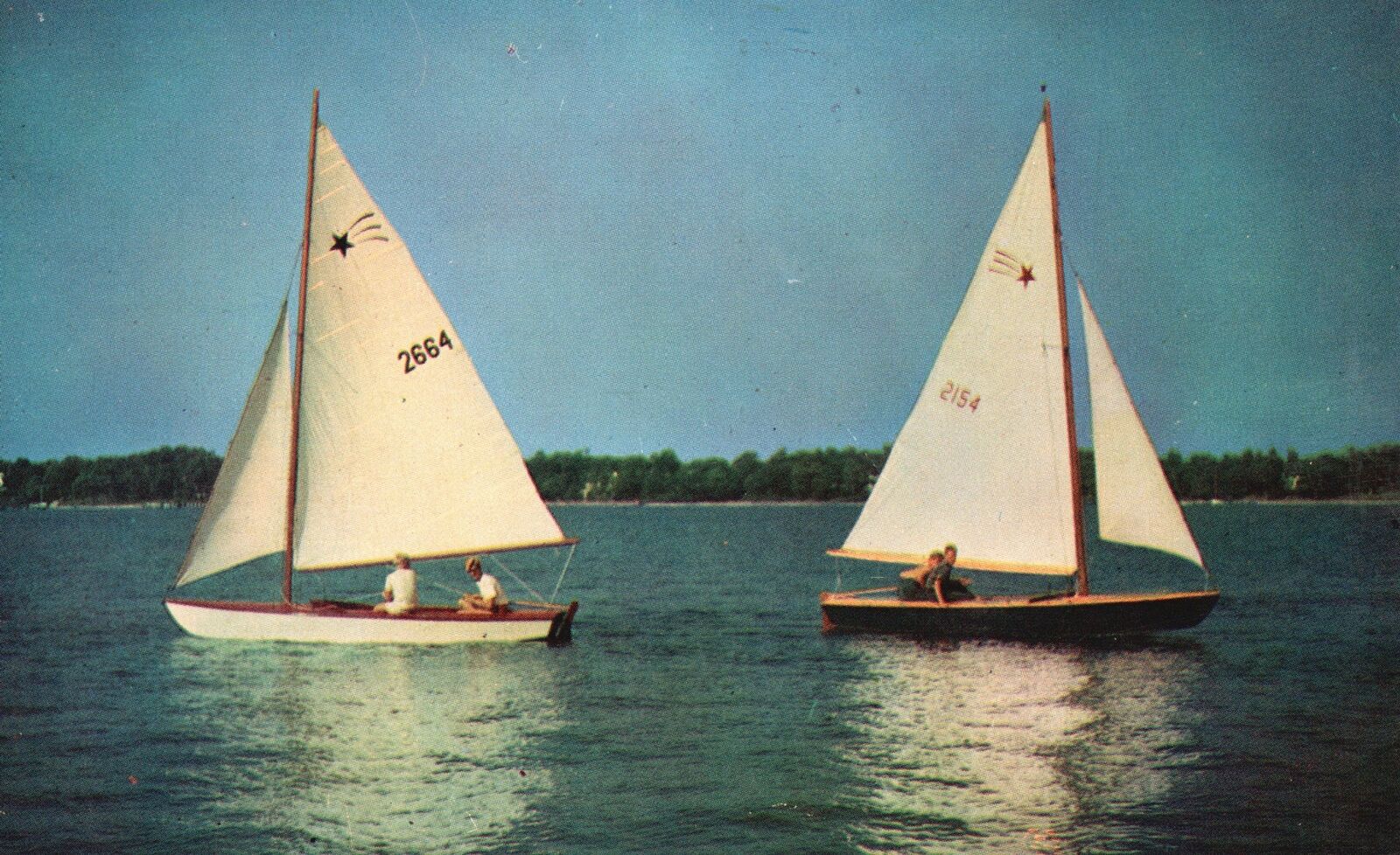 Vintage Postcard 1956 Sailing Vineyard Sound Off Martha\'s Island Massachusetts