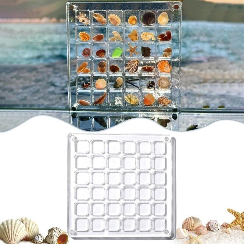 Acrylic Magnetic Seashell Display Box, 36/64 Grids Seashell Display Box