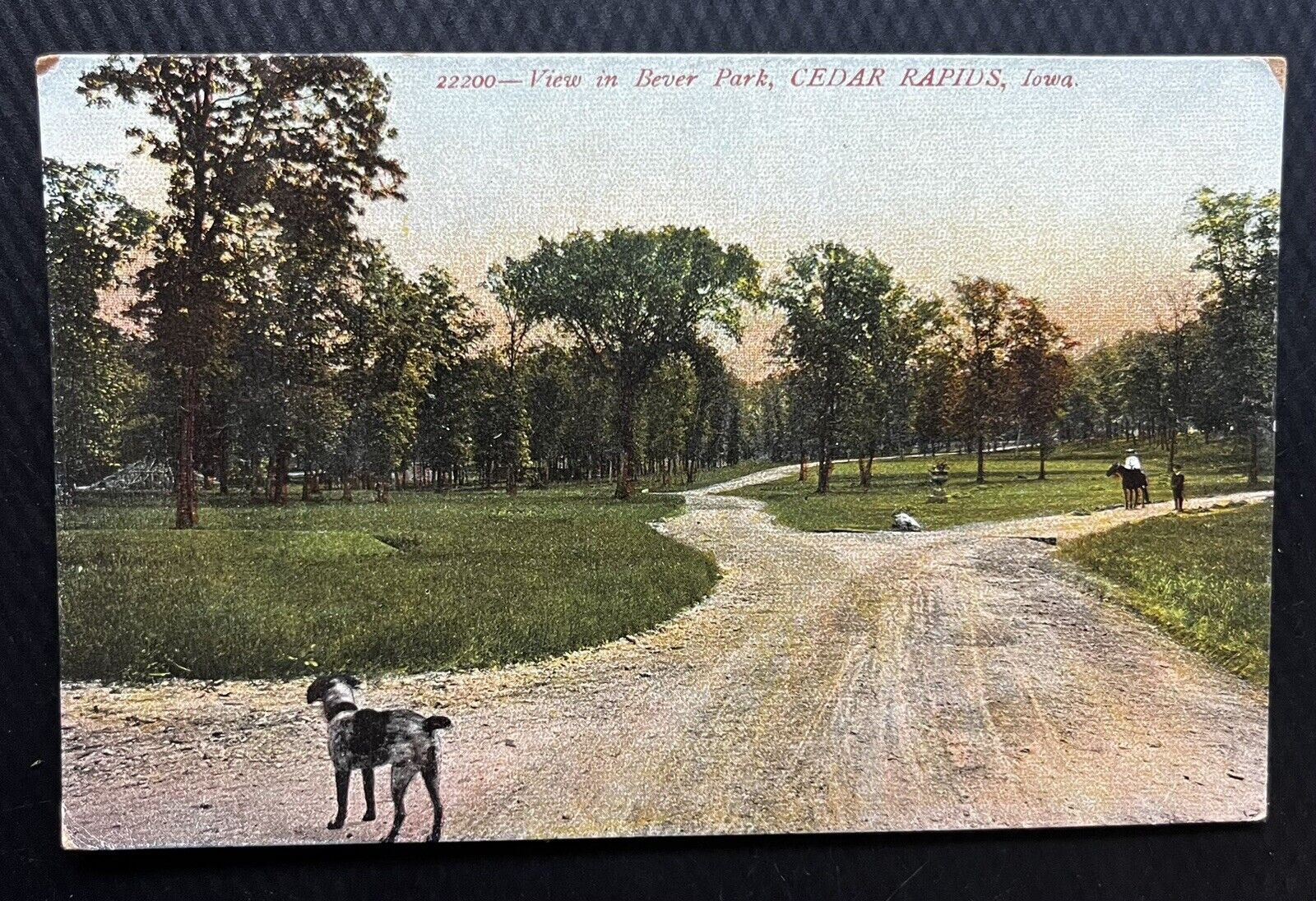 “View In Bever Park Cedar Rapids, Iowa” Vintage Postcard