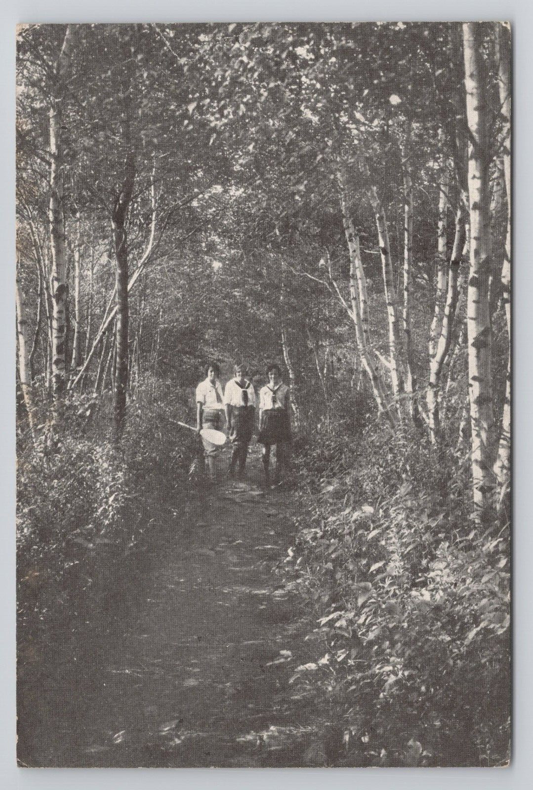 Postcard Path to Naomi Lake Pine Tree Camp Pocono Pines Pennsylvania