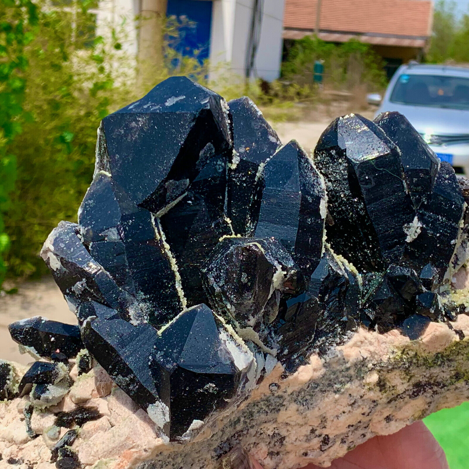 8.02LB Rare natural black intergrowth quartz crystal cluster mineral sample