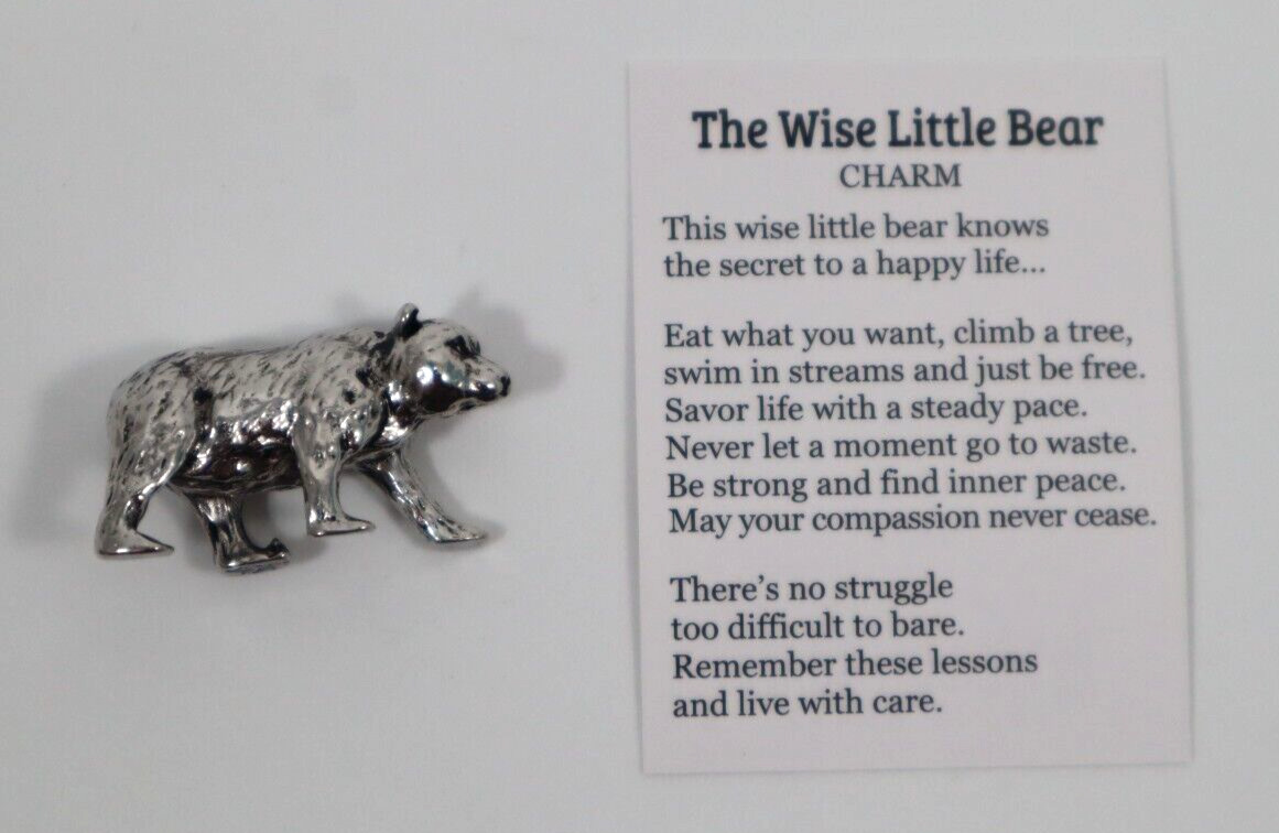 T1 The wise little bear Ganz ER73614 Pocket figurine charm miniature