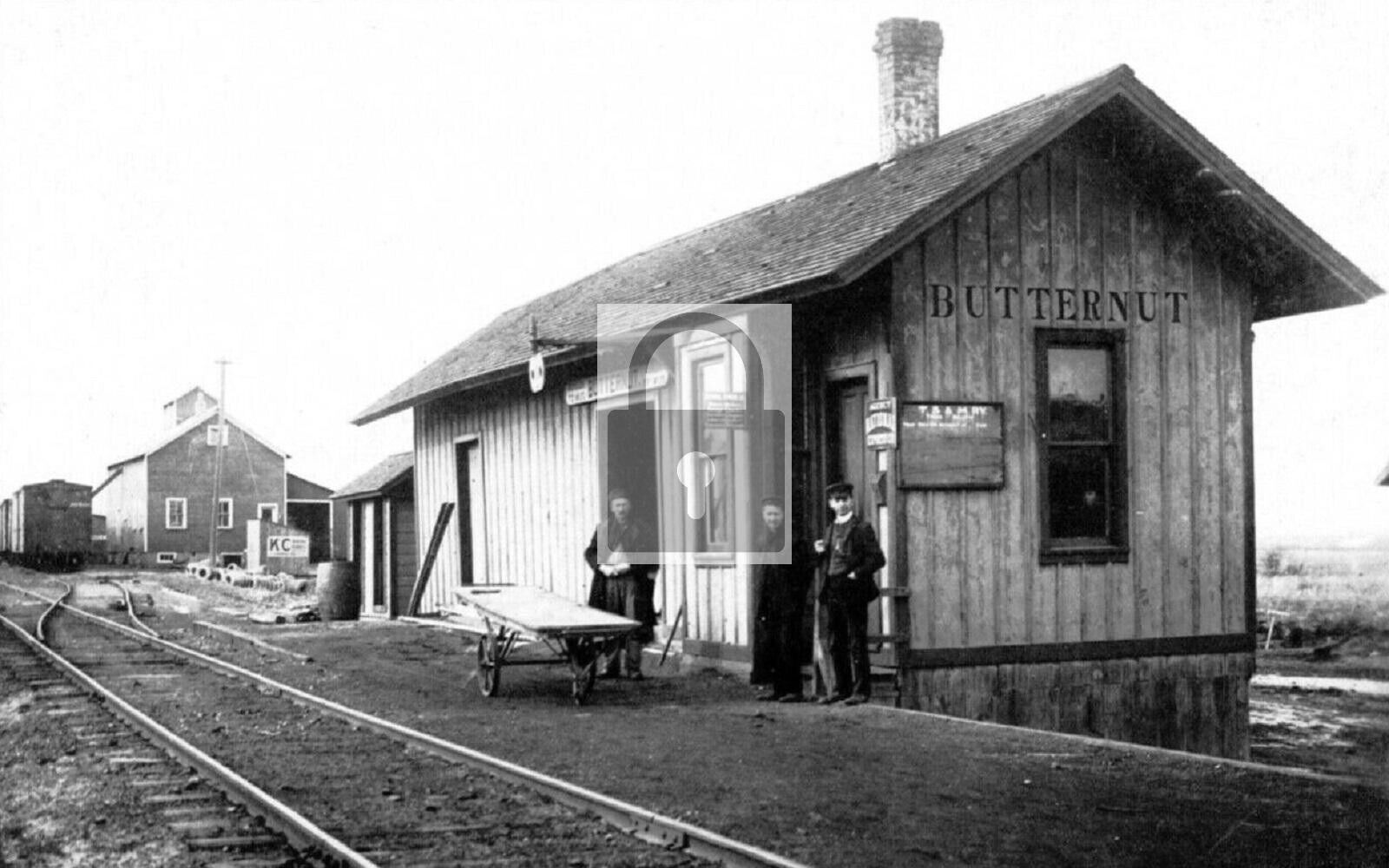 Railroad Train Depot Butternut Michigan MI Reprint Postcard