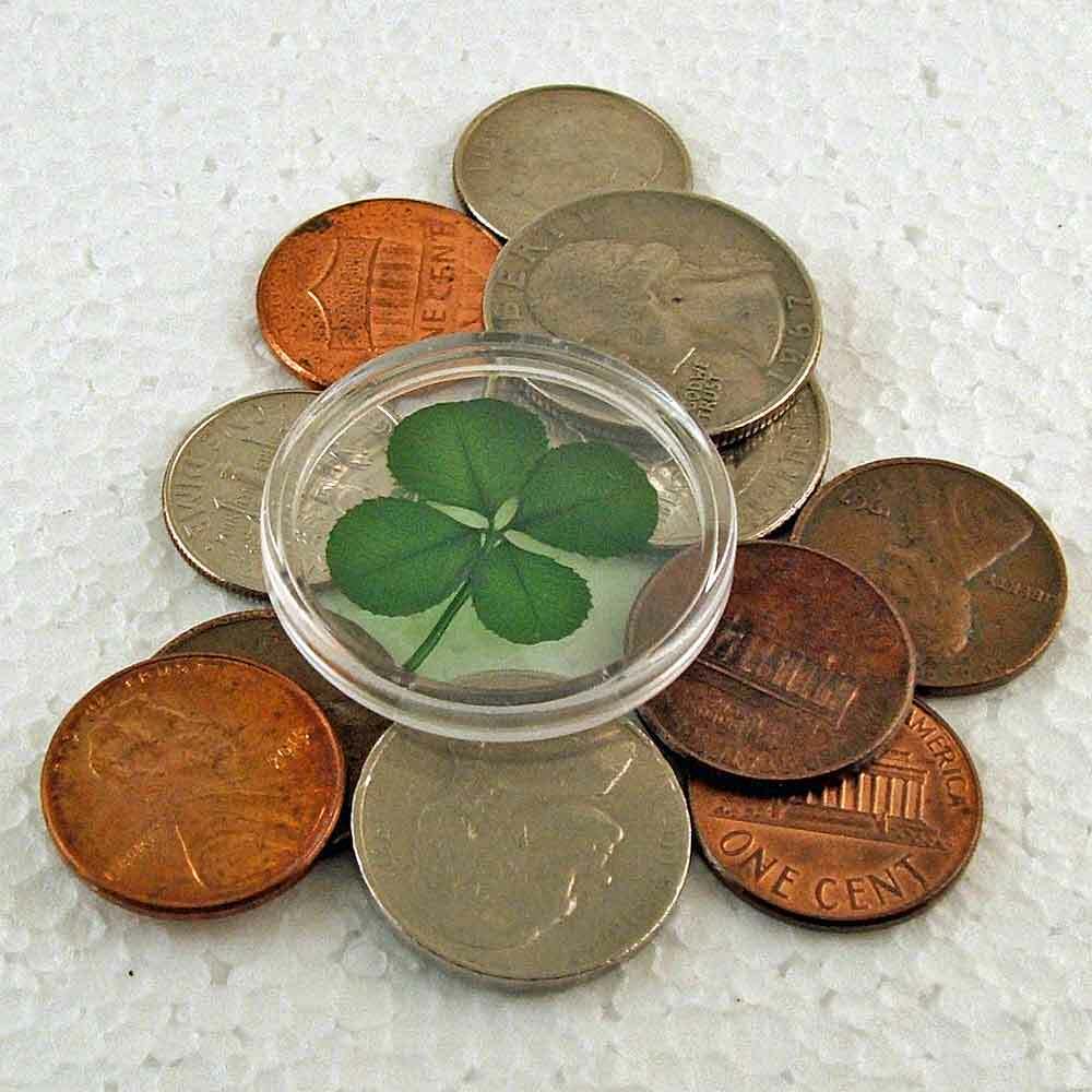 Genuine Four Leaf Clover Good Luck Charm Floating in a Pocket Token CH-4L