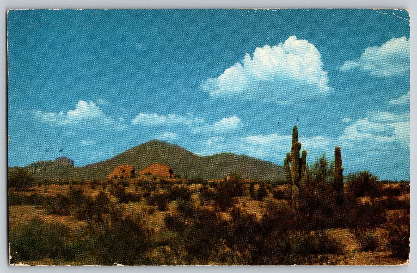 Phoenix, Arizona AZ - Camelback Mountain - Vintage Postcard - Posted 1953