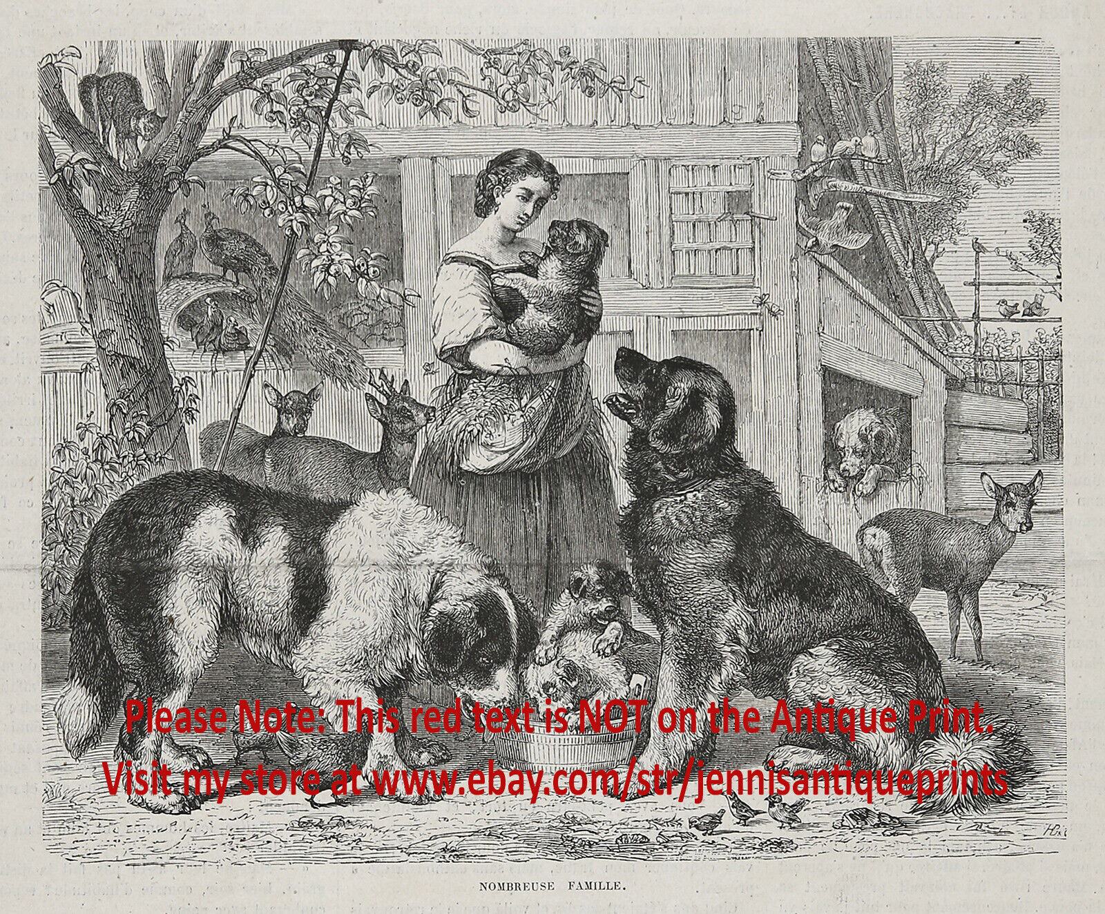 Dog Newfoundland Family, Landseer & Brown, Puppies & Deer, 1880s Antique Print