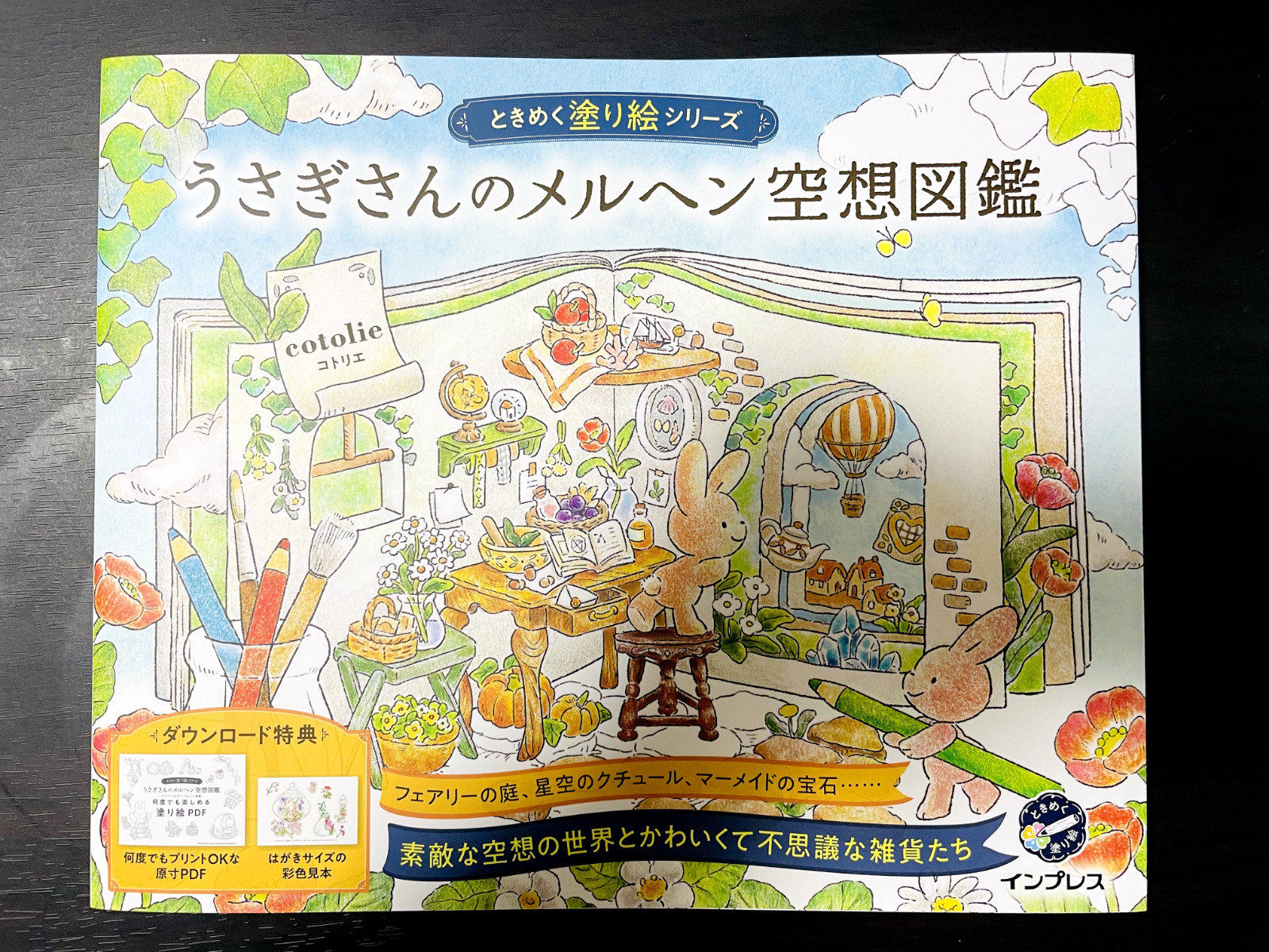 Rabbit\'s Fairy Tale Fantasy Book TOKIMEKU Coloring Book Series