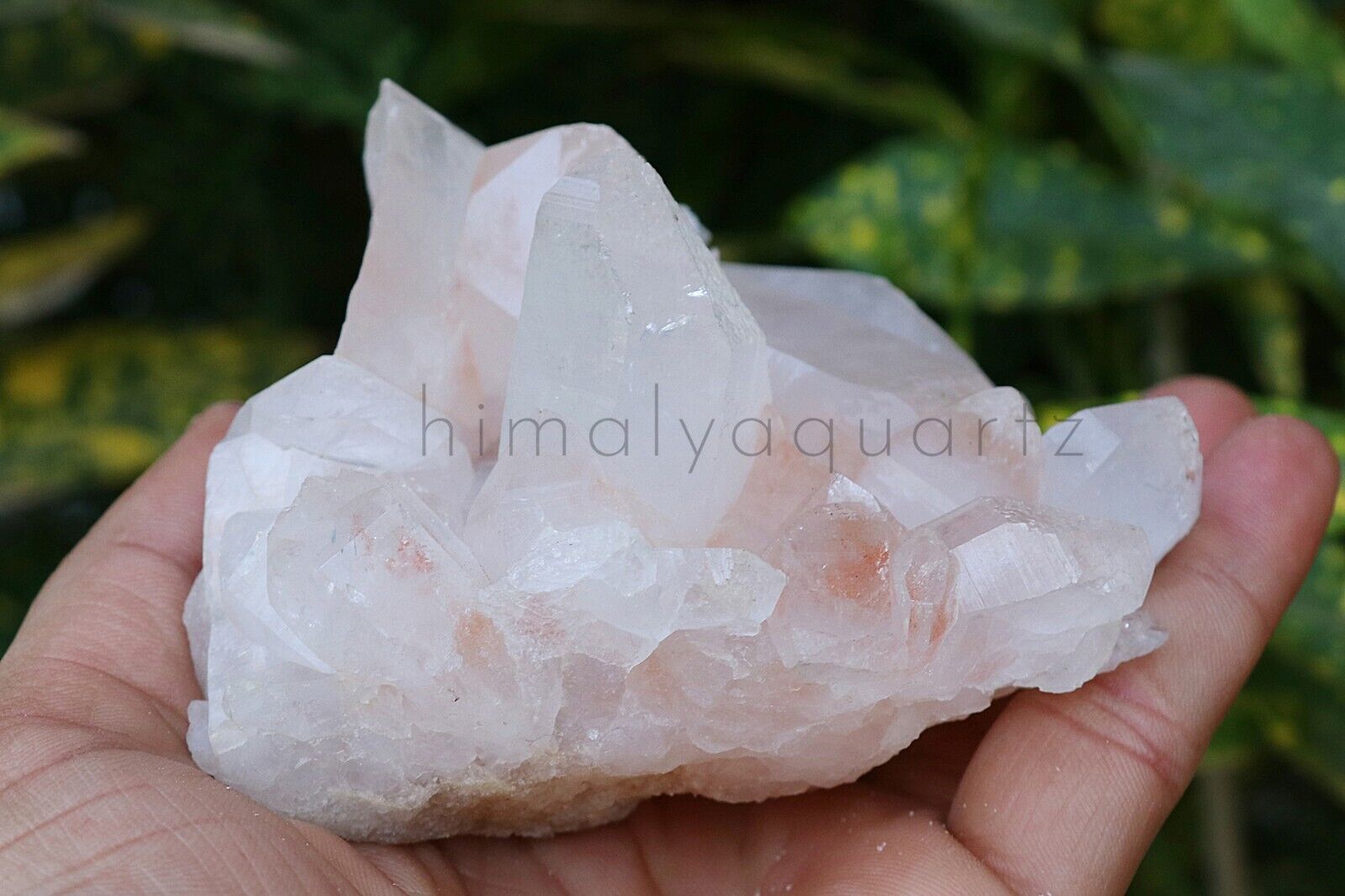 White with Pink natural pointer rough stone 460 gm Meditation Minerals Specimen