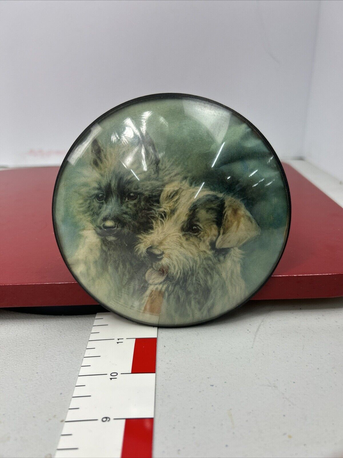 Vintage Terrier Convex Glass Bubble 5” Frame Picture