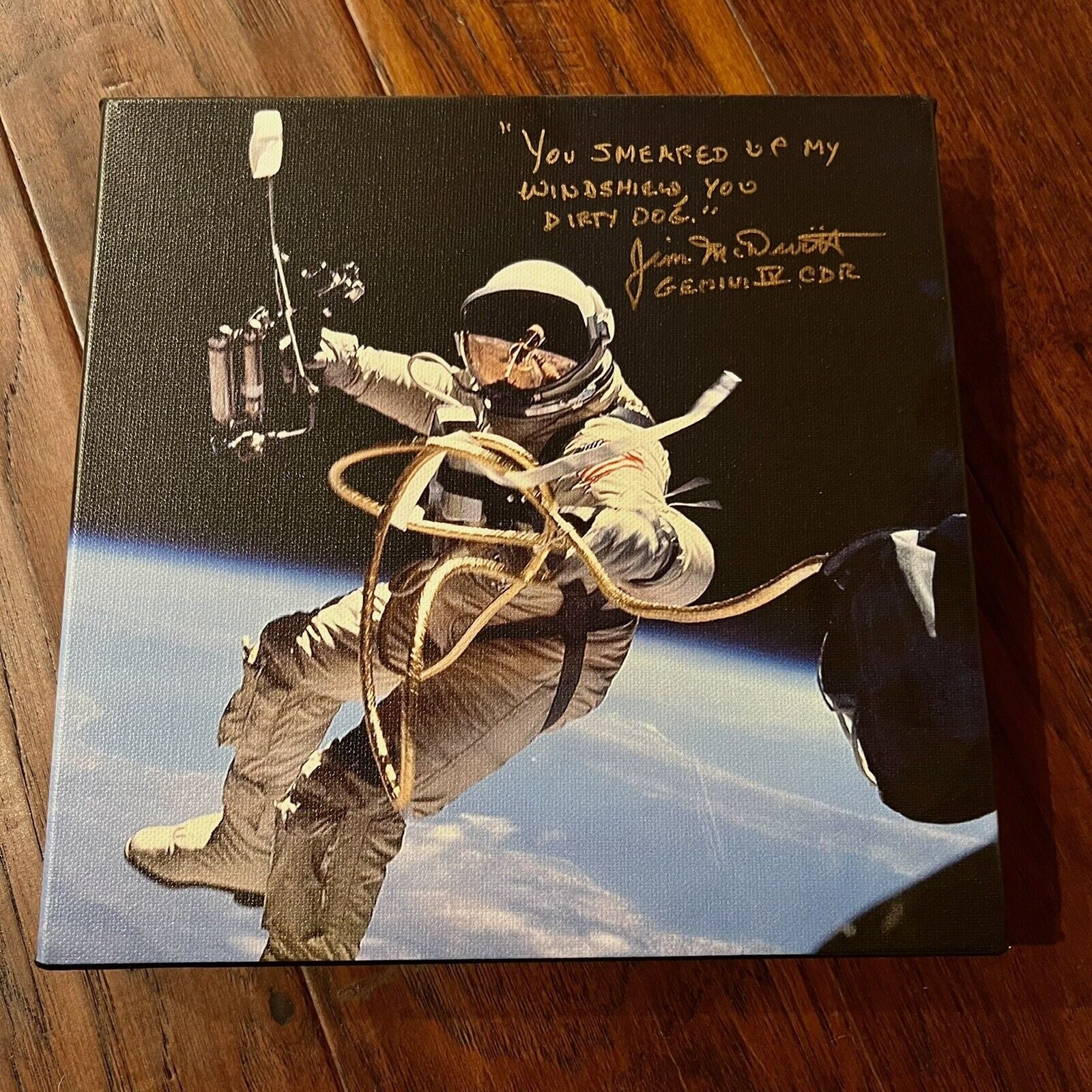 JIM MCDIVITT * Novaspace COA * Signed 10”x10 Autograph Canvas Gemini IV Quote