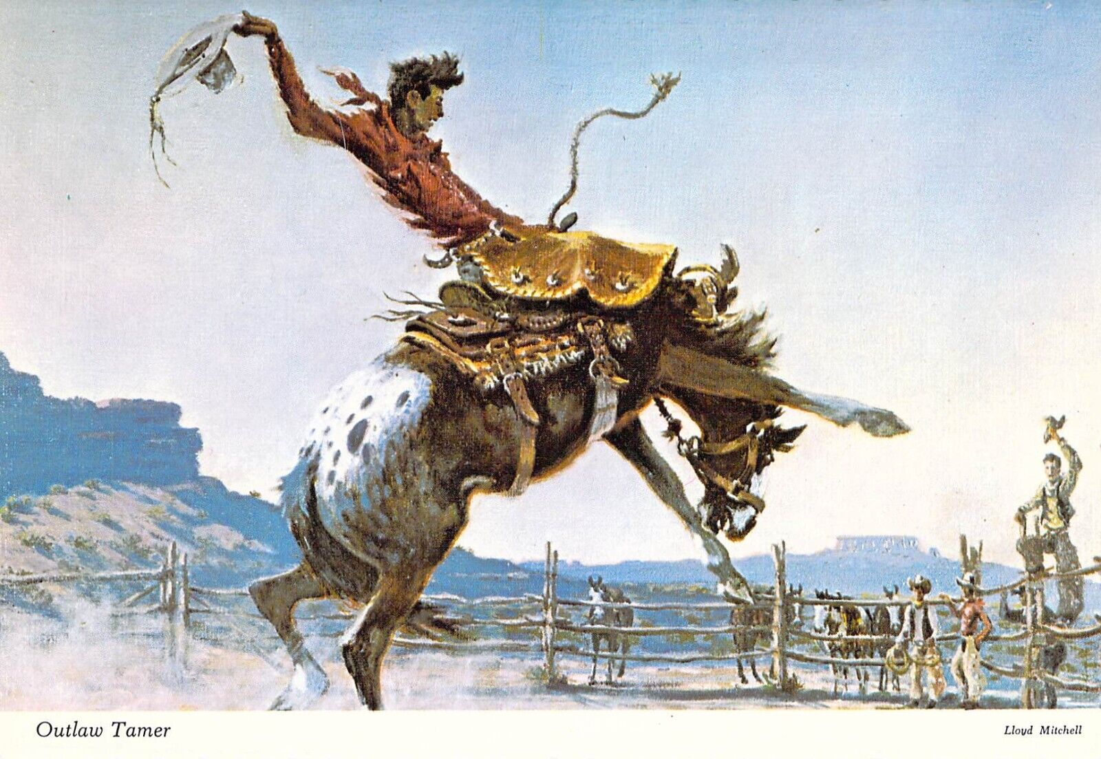 Outlaw Tamer Bucking Appaloosa Horse Cowboy art MINT 4x6 postcard CT31